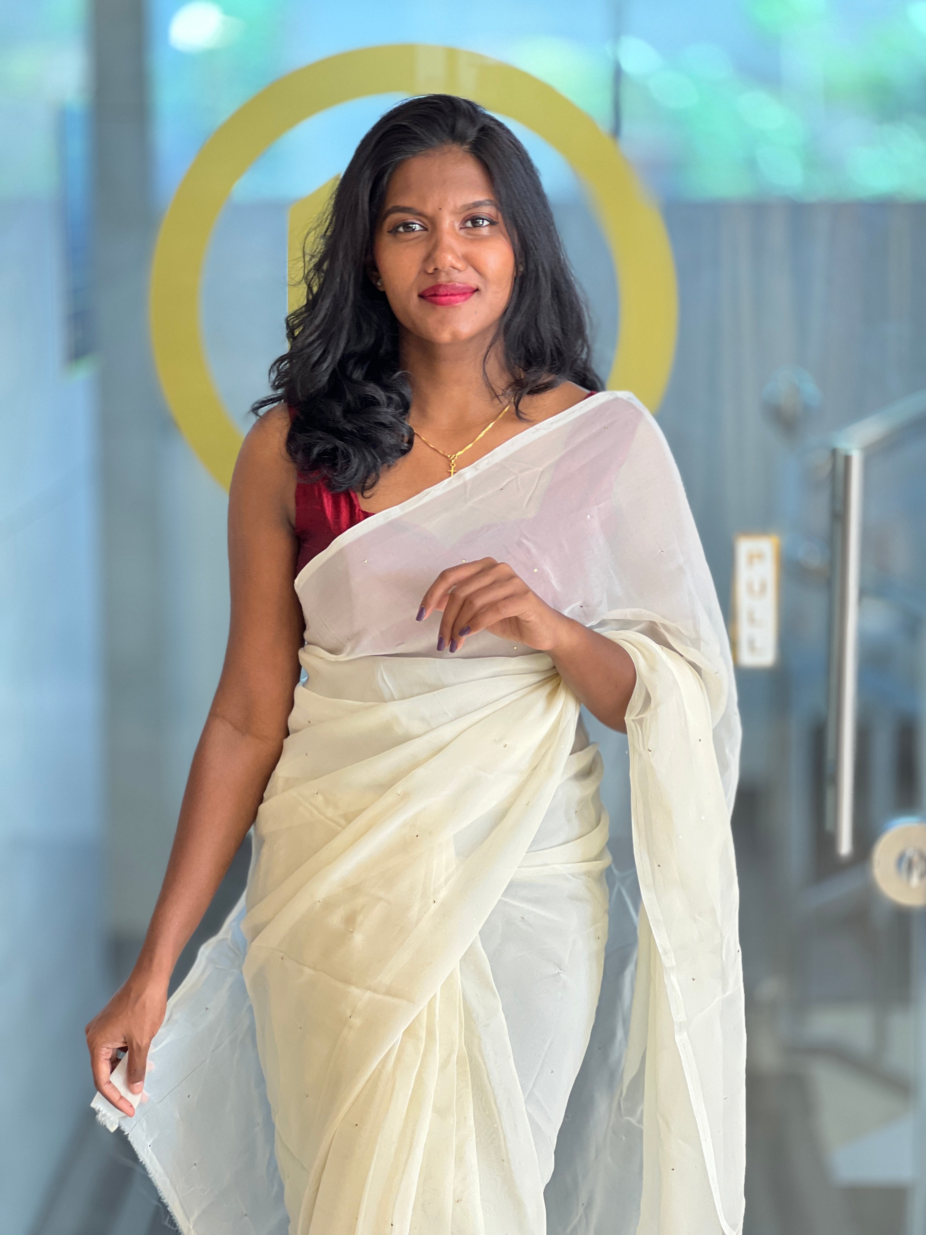 Mirror Work Detailed Organza Saree | SF1264