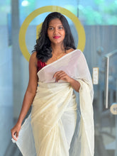 Mirror Work Detailed Organza Saree | SF1264