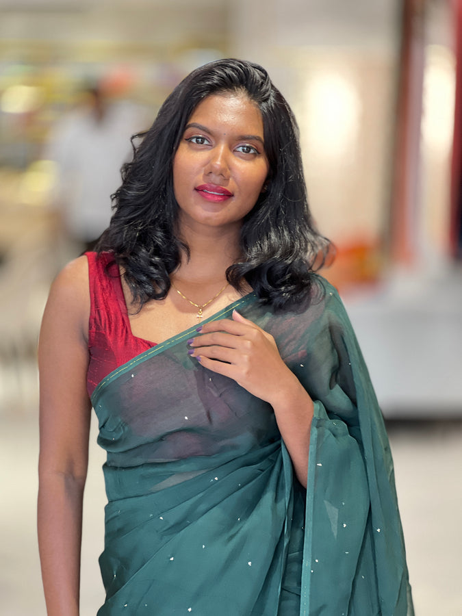 Mukaish Work Detailed Organza Saree | SF1267