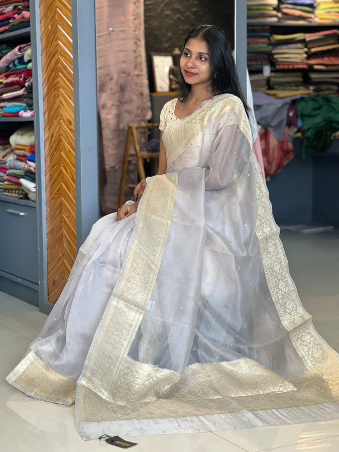 Hand Worked Organza Saree | AHR225