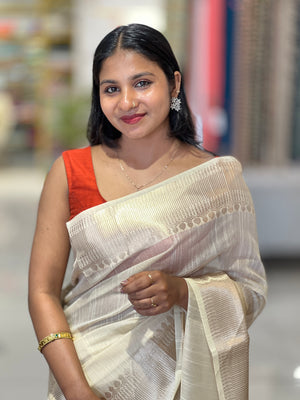 Zari Detailed Tissue Saree | NN410