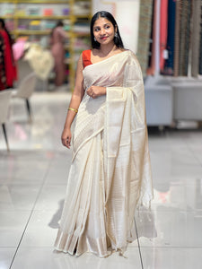 Zari Detailed Tissue Saree | NN410