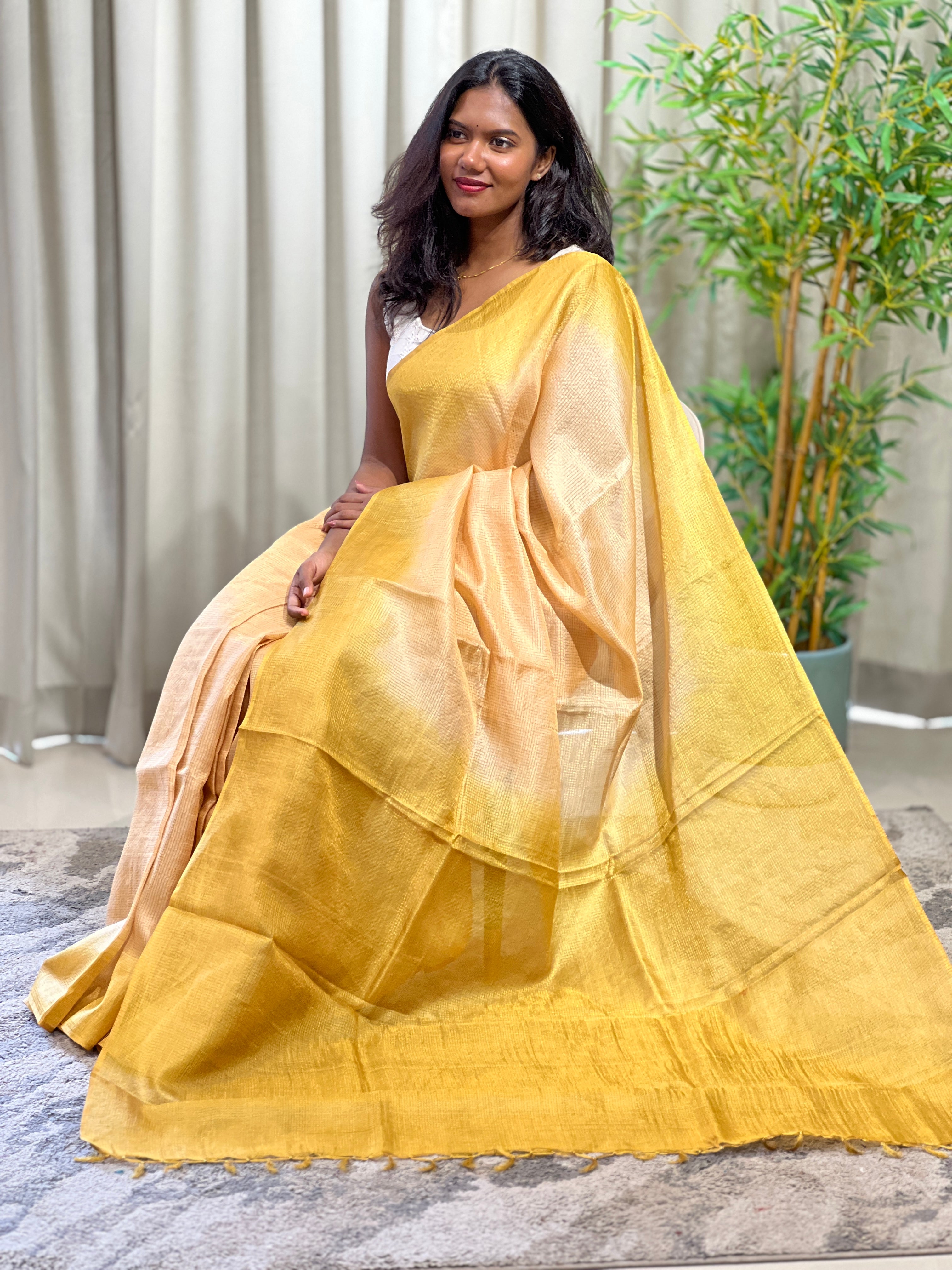 Tissue Check Pattern Tussar Saree | HS1448