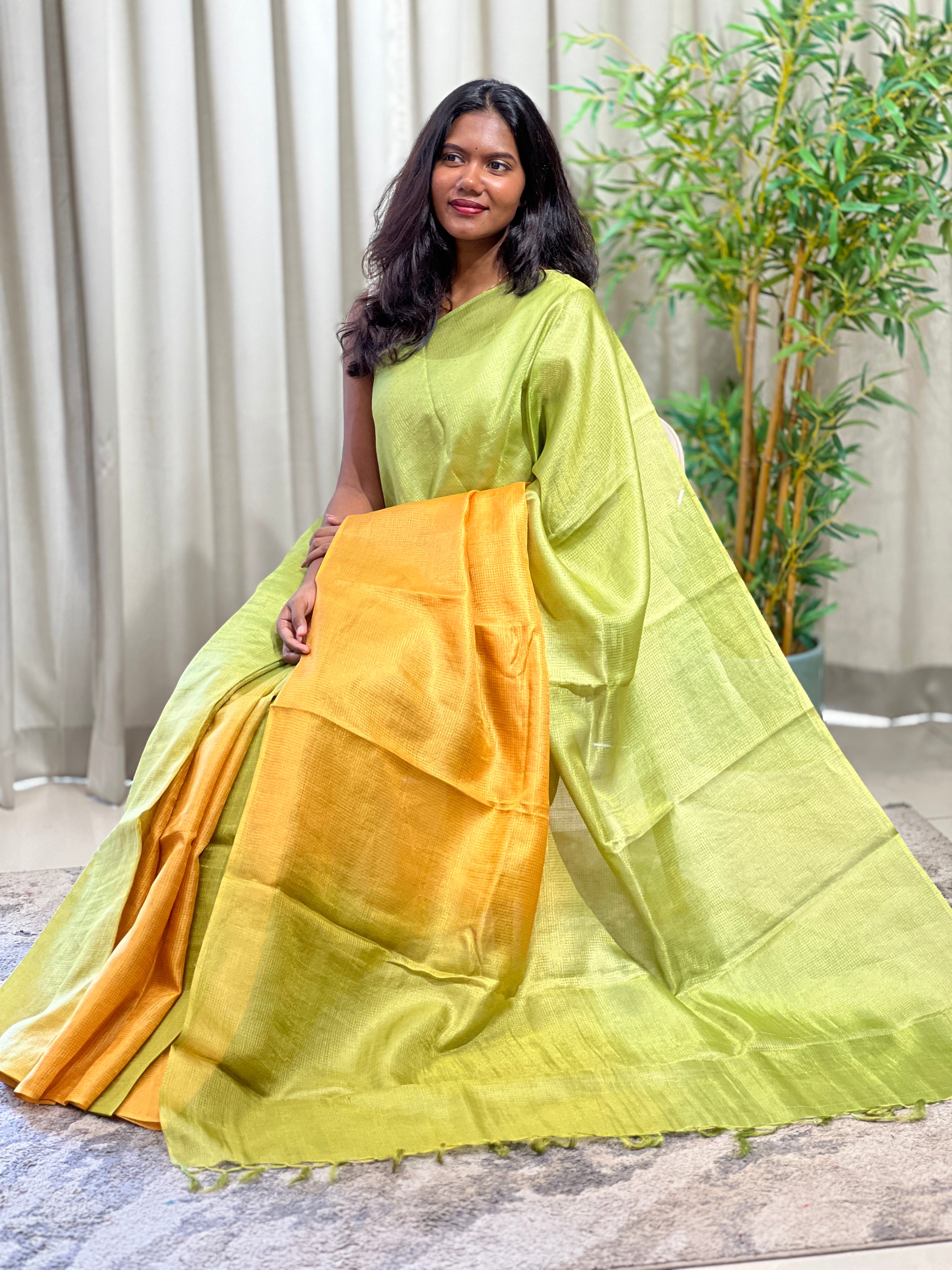 Tissue Check Pattern Tussar Saree | HS1445