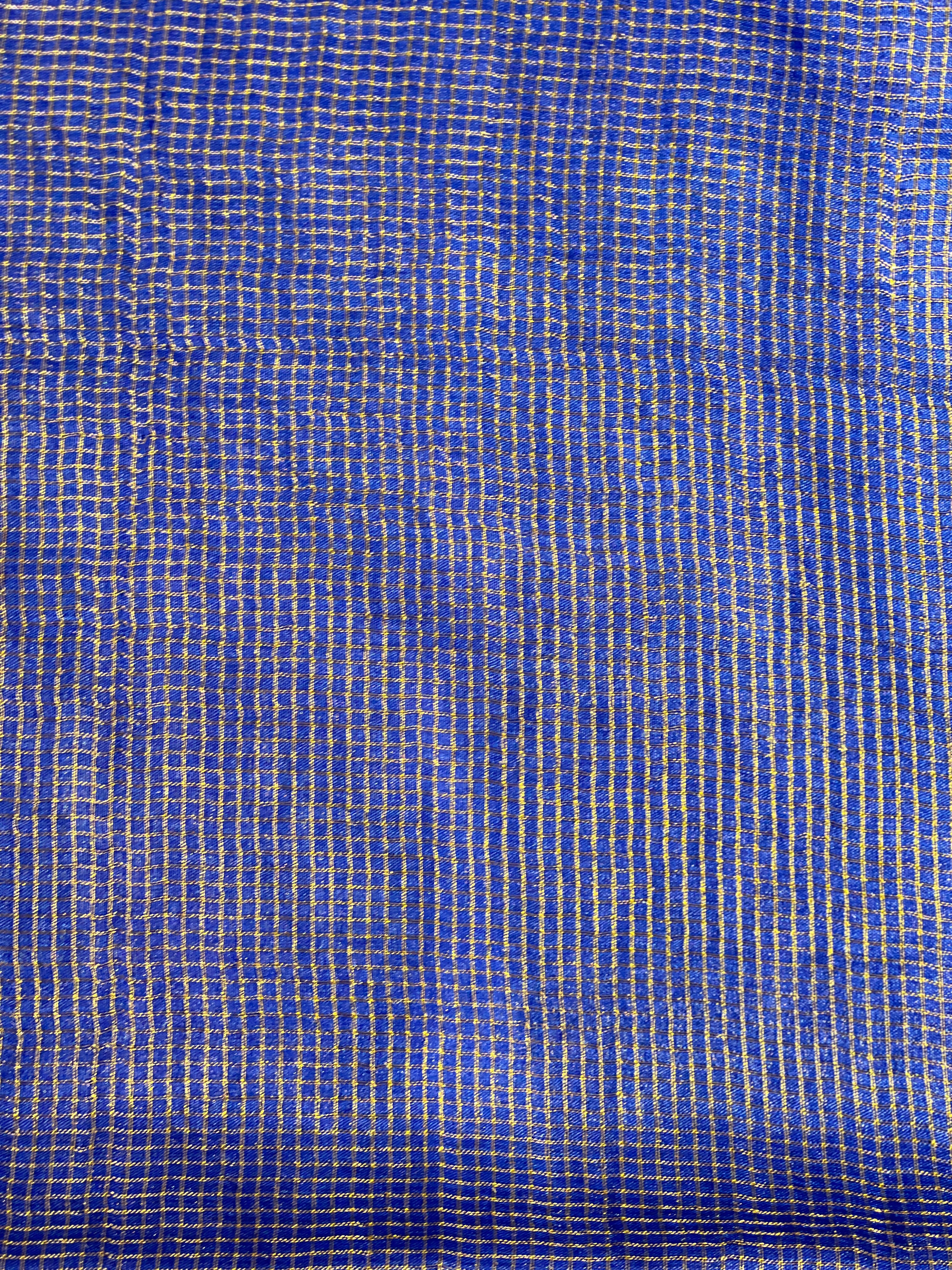 Tissue Check Pattern Tussar Saree | HS1449