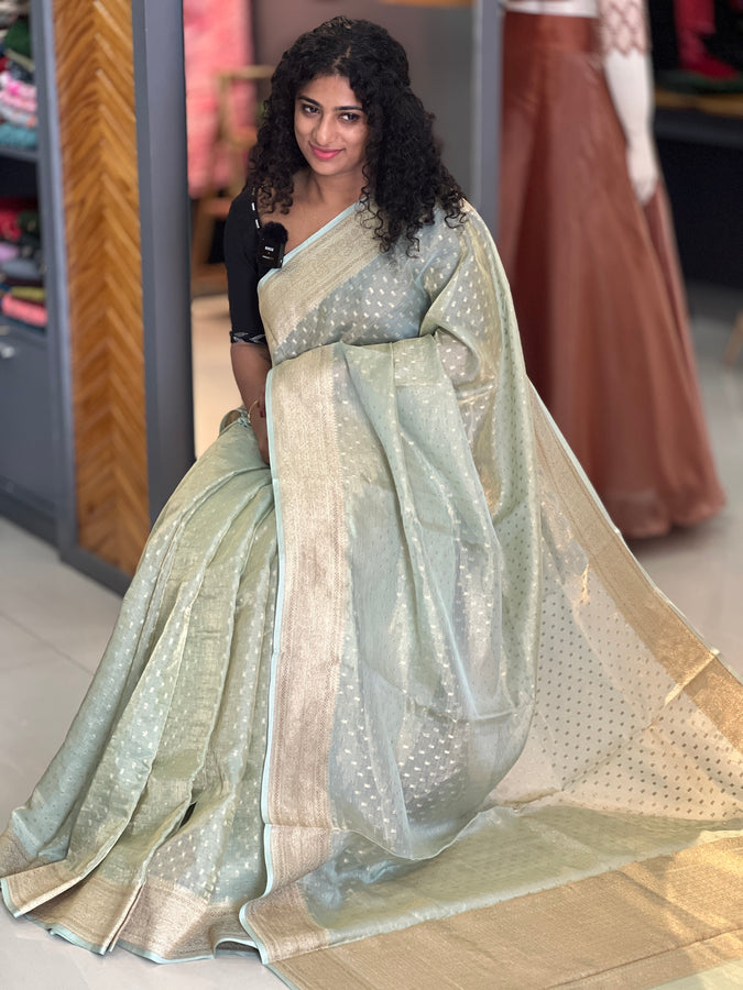 Pastel Green Color Tissue Banarasi Saree | YNG316