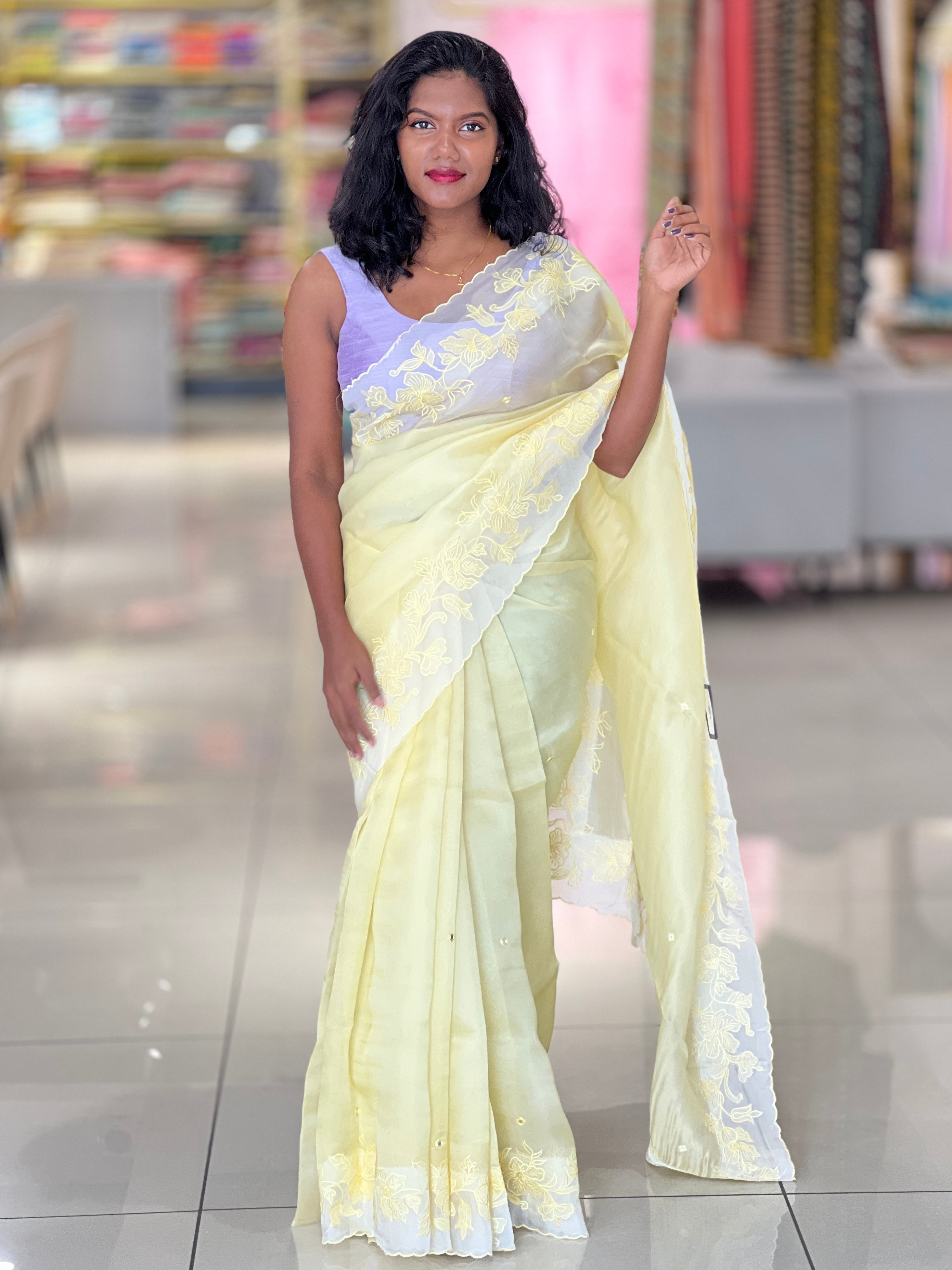 Machine Embroidery Detailed Organza Saree | SBS1376