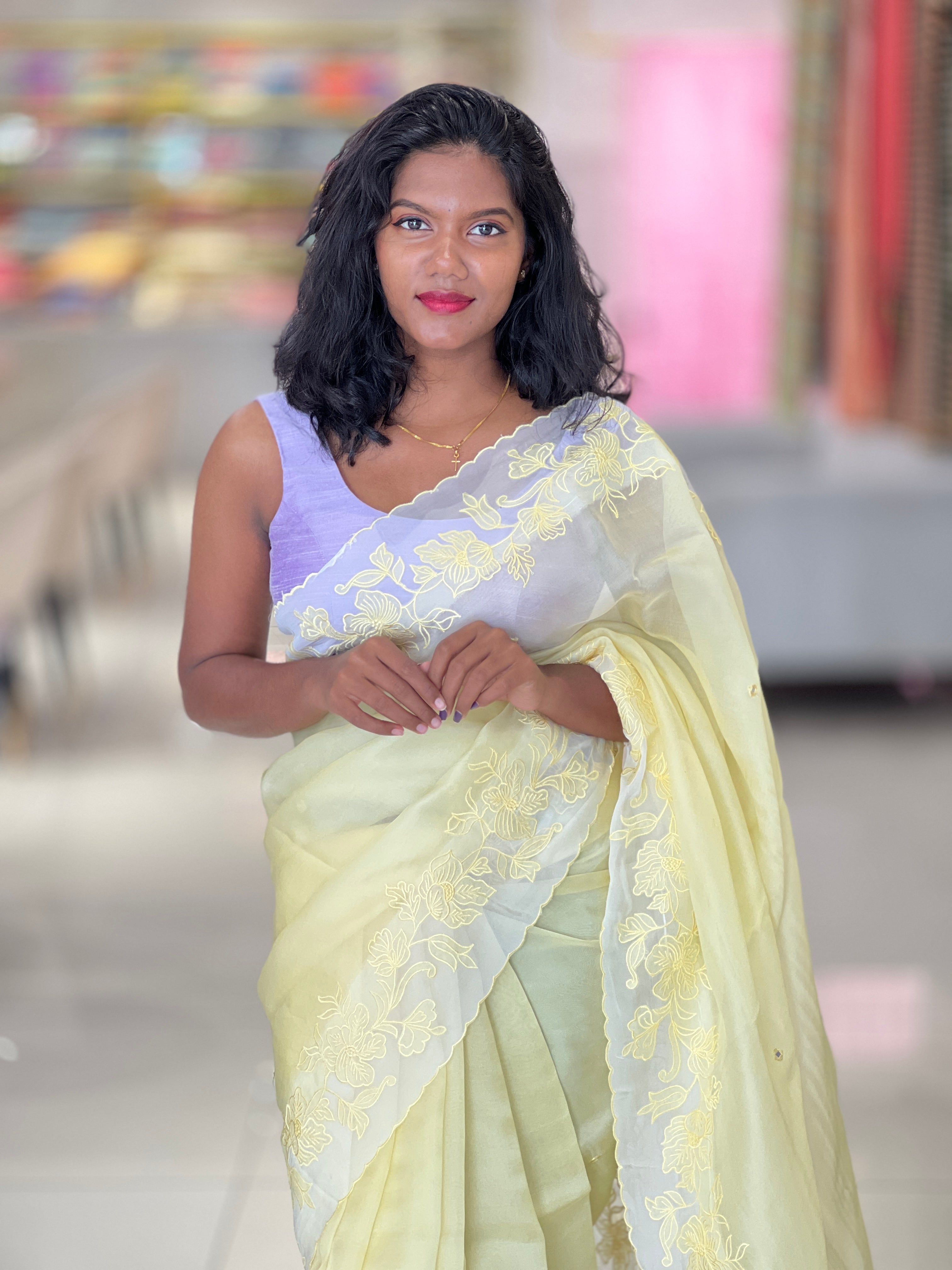 Machine Embroidery Detailed Organza Saree | SBS1376