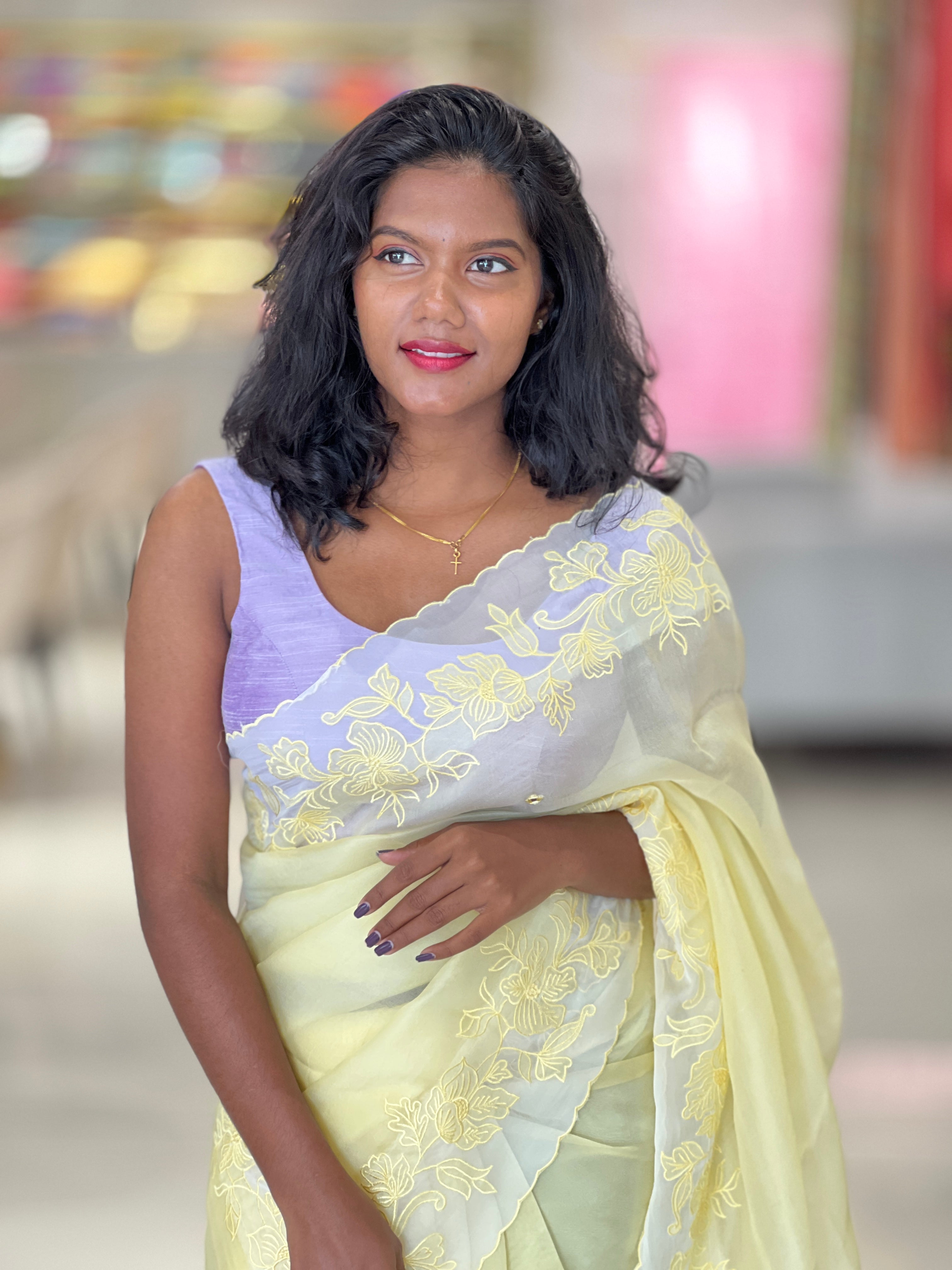 Machine Embroidery Detailed Organza Saree | SBS1376