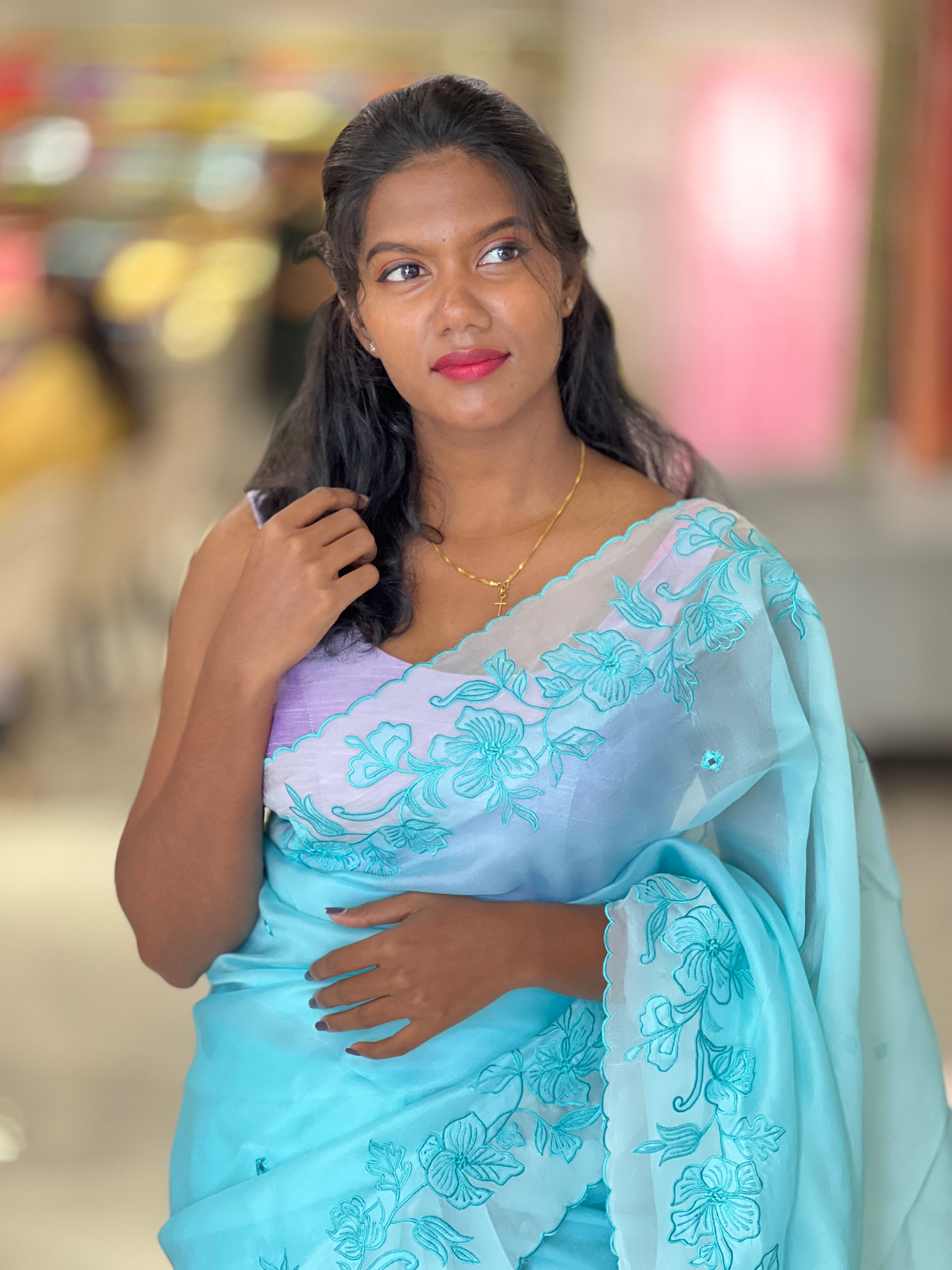 Machine Embroidery Detailed Organza Saree | SBS1378