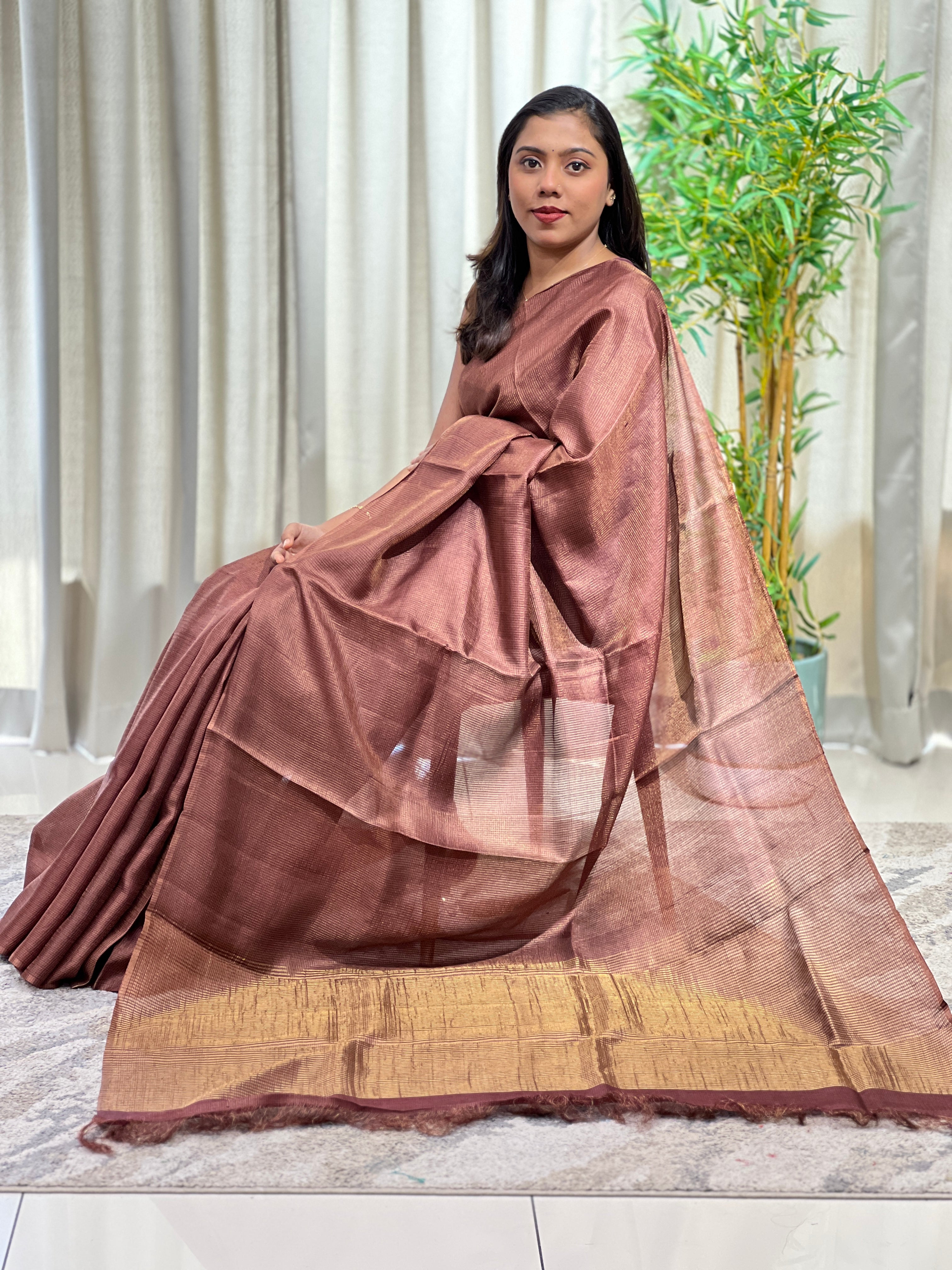Tissue Check Pattern Tussar Saree | YNG1599