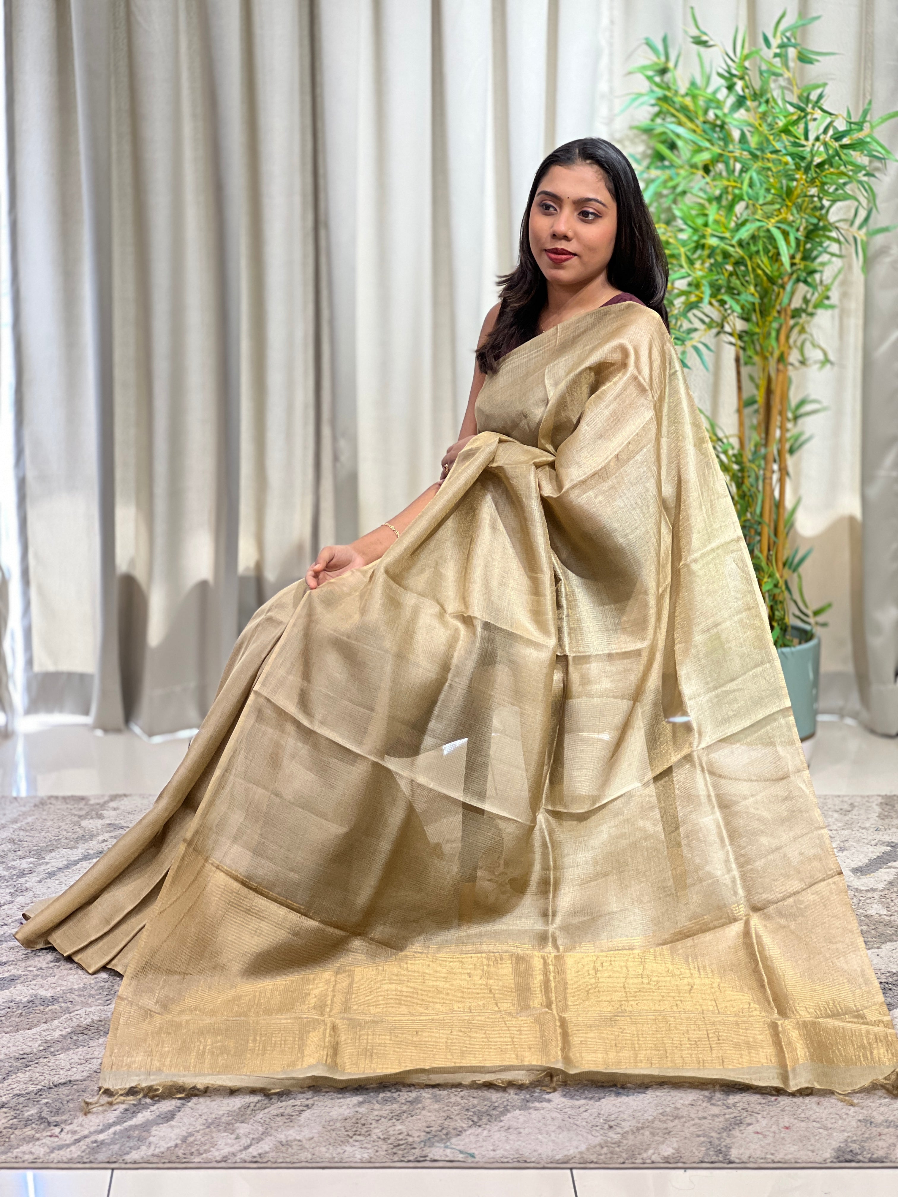 Tissue Check Pattern Tussar Saree | YNG1600