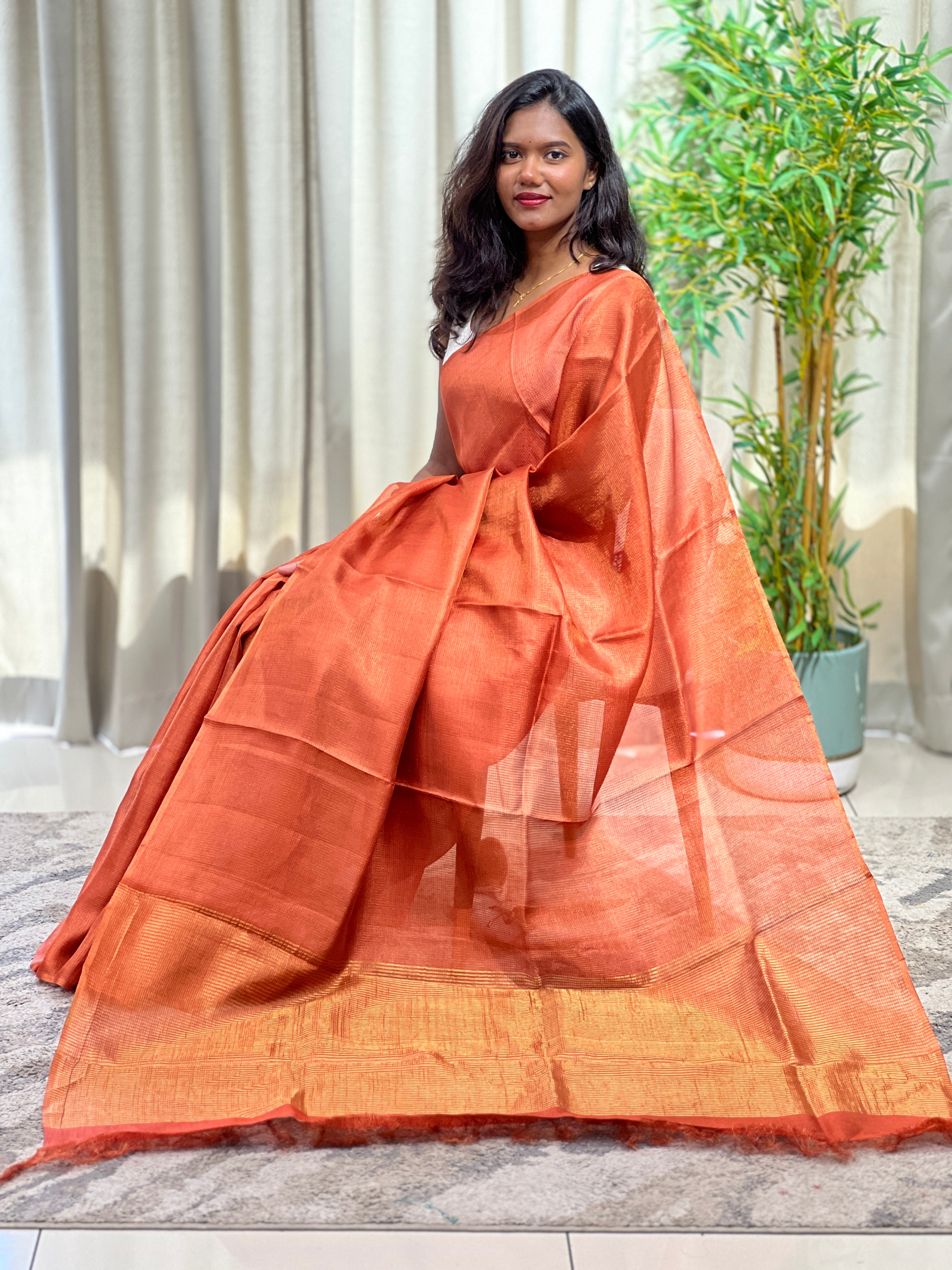 Tissue Check Pattern Tussar Saree | YNG1601