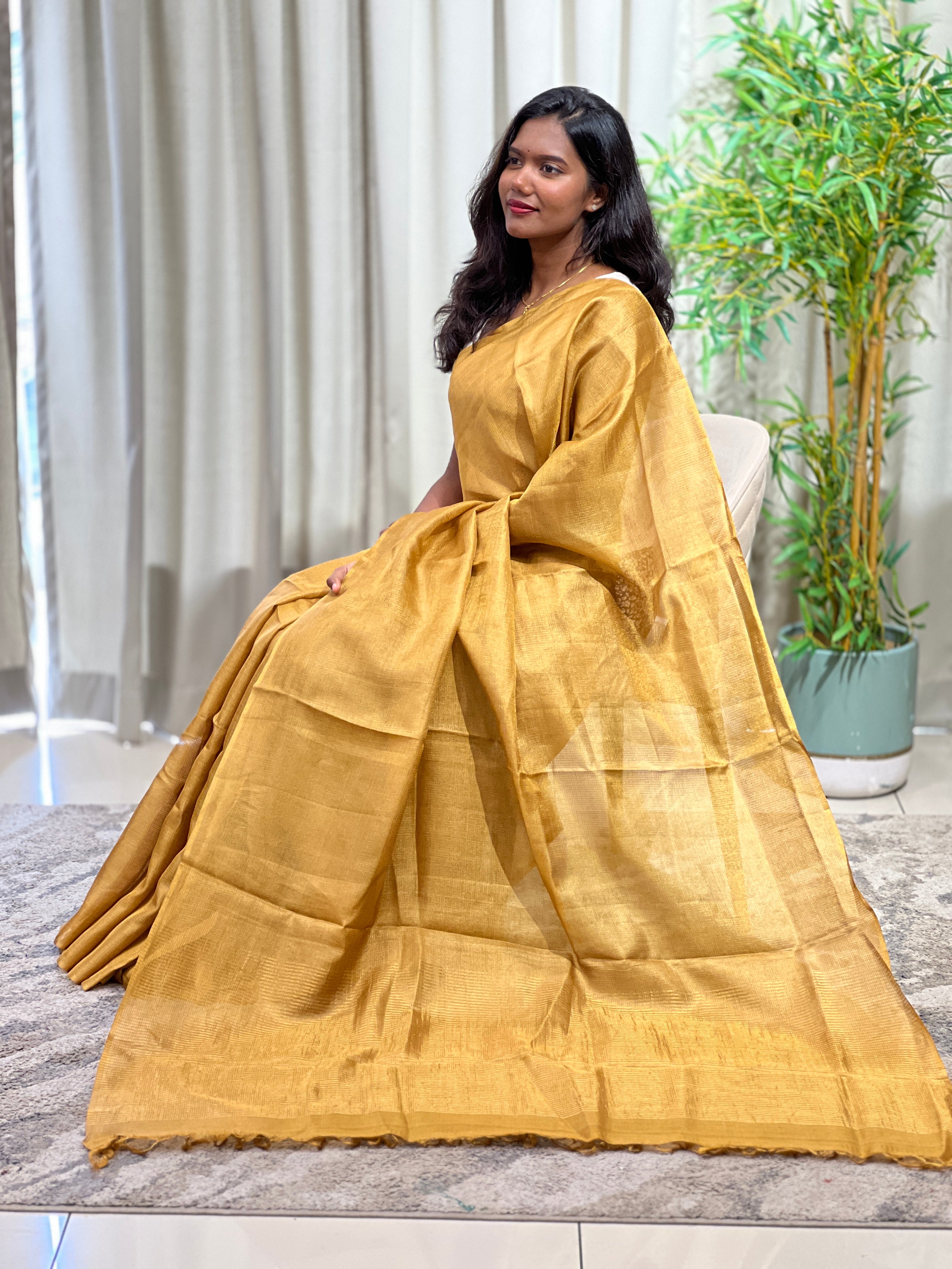 Tissue Check Pattern Tussar Saree | YNG1597