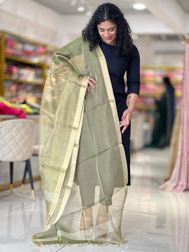 Tissue Dupatta With Zari Borders | TSP130