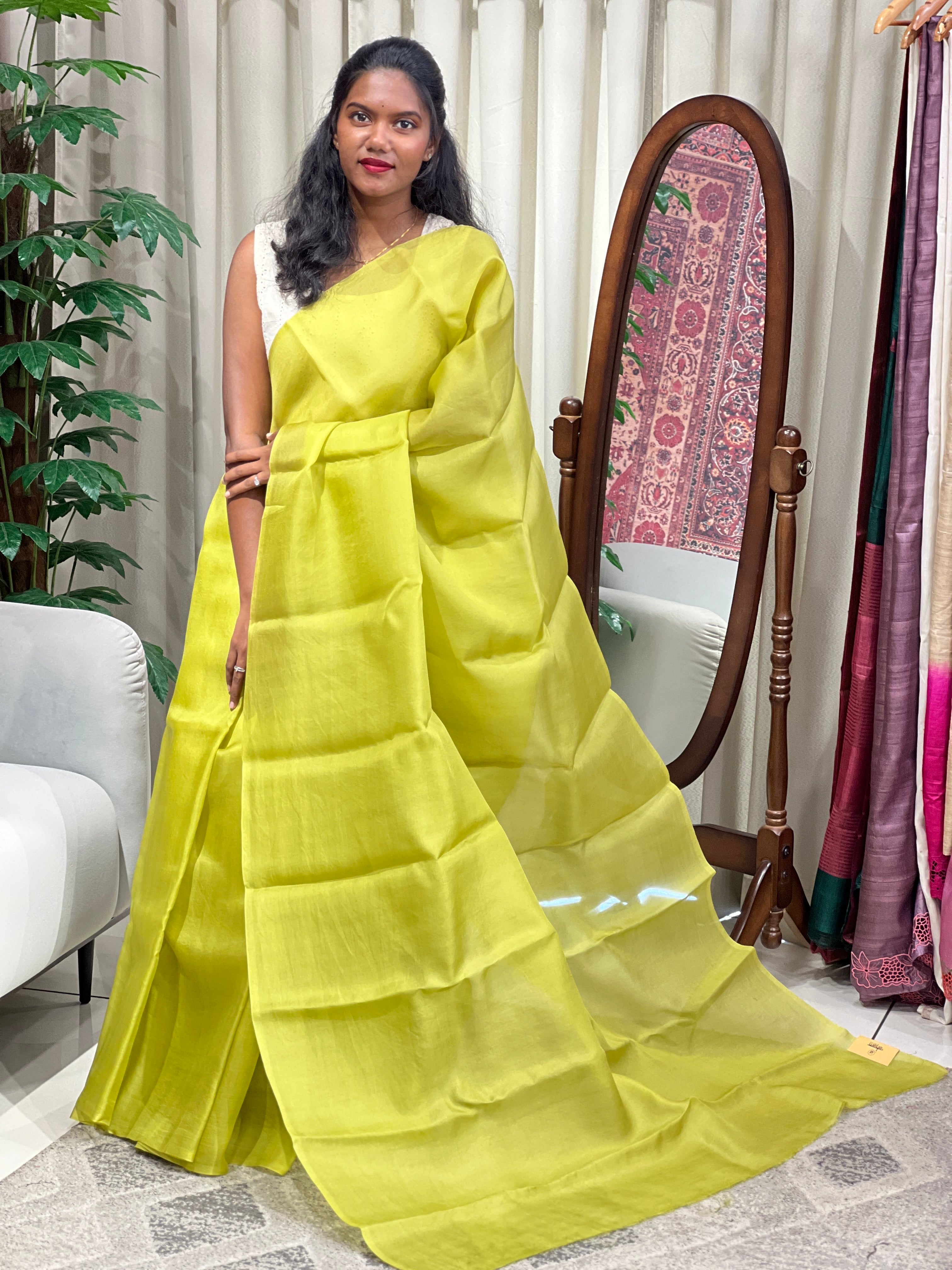 Solid Tussar Organza Saree | HS1399