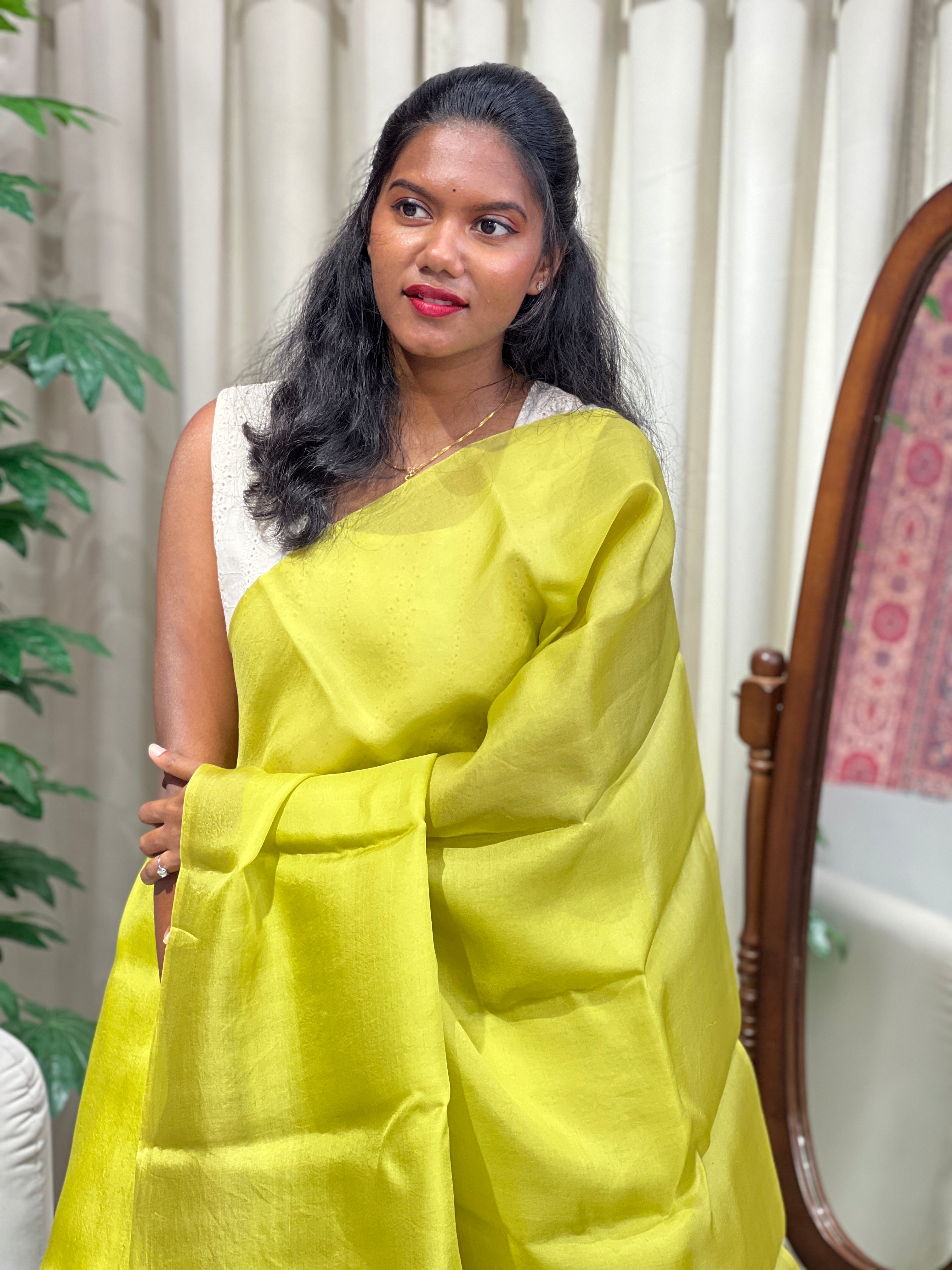 Solid Tussar Organza Saree | HS1399