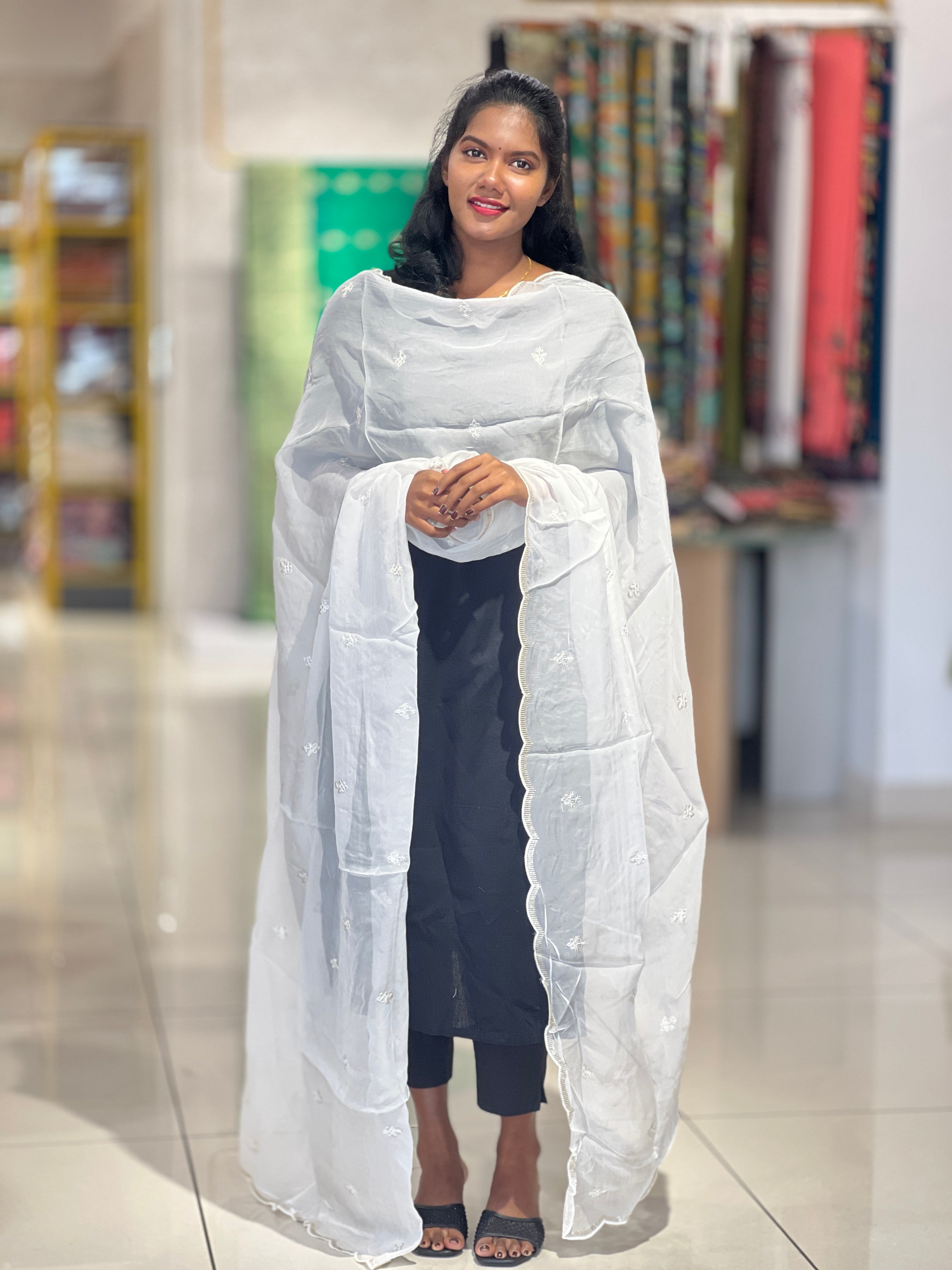 Machine Embroidery Pattern Organza Dupatta | SNT101