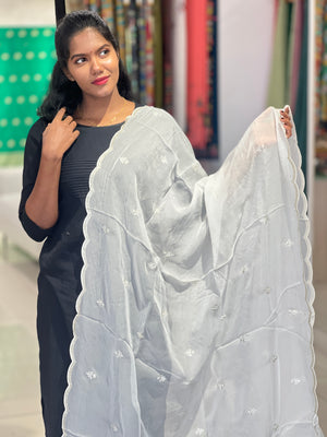 Machine Embroidery Pattern Organza Dupatta | SNT101