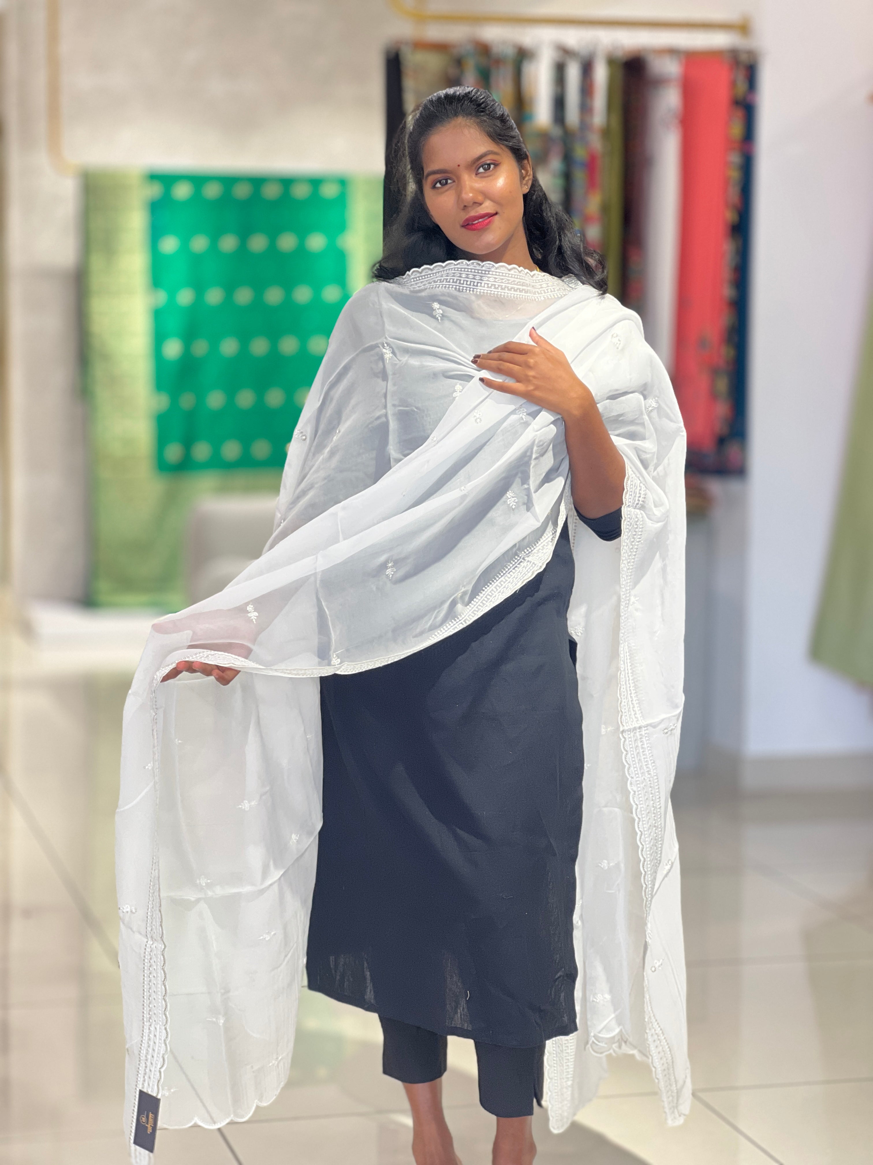 Machine Embroidery Pattern Organza Dupatta  | SNT103