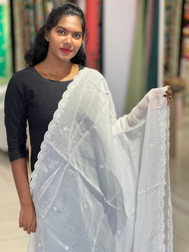 Machine Embroidery Pattern Organza Dupatta | SNT102