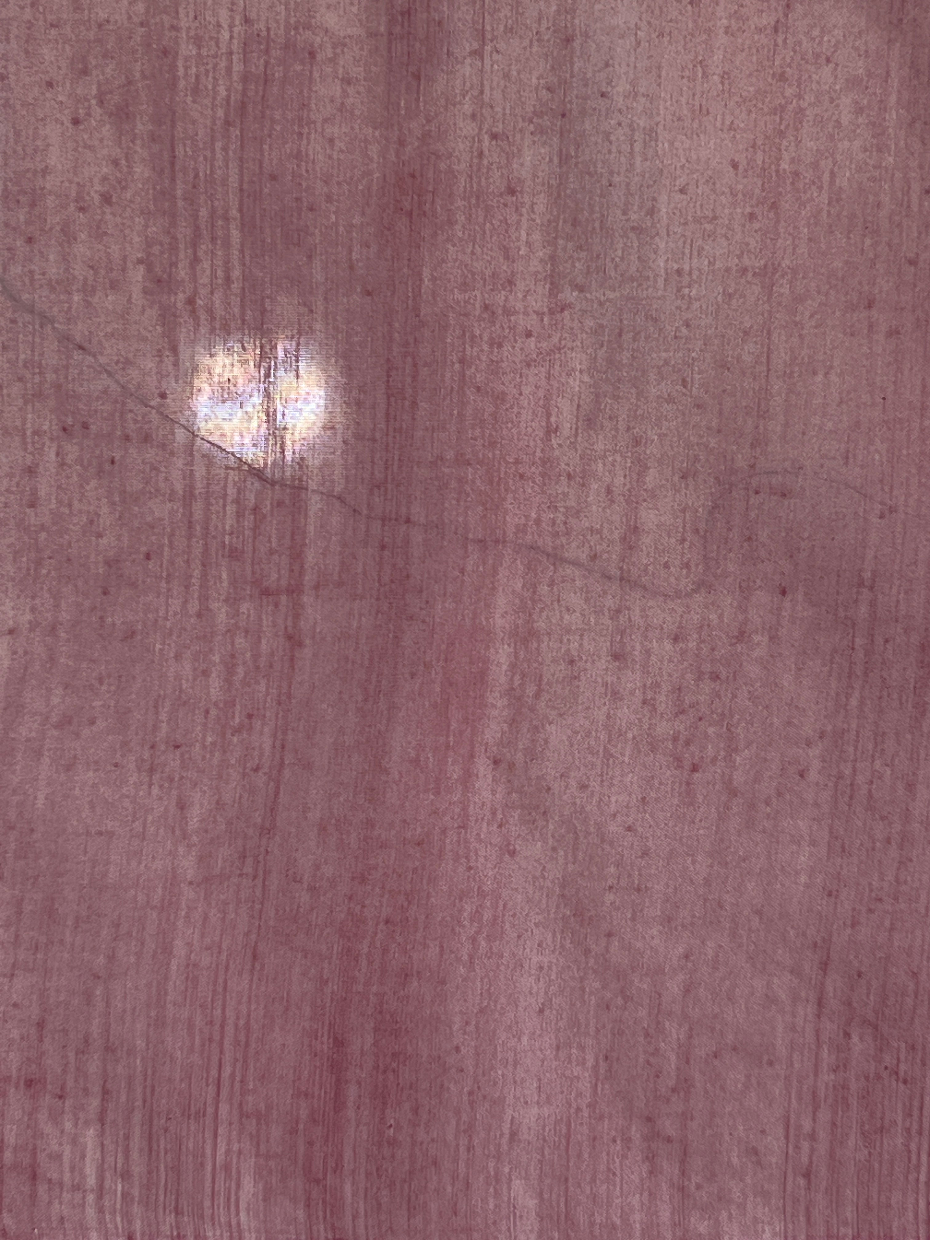 Print With Embroidery Detailed Kota Saree | YNG931