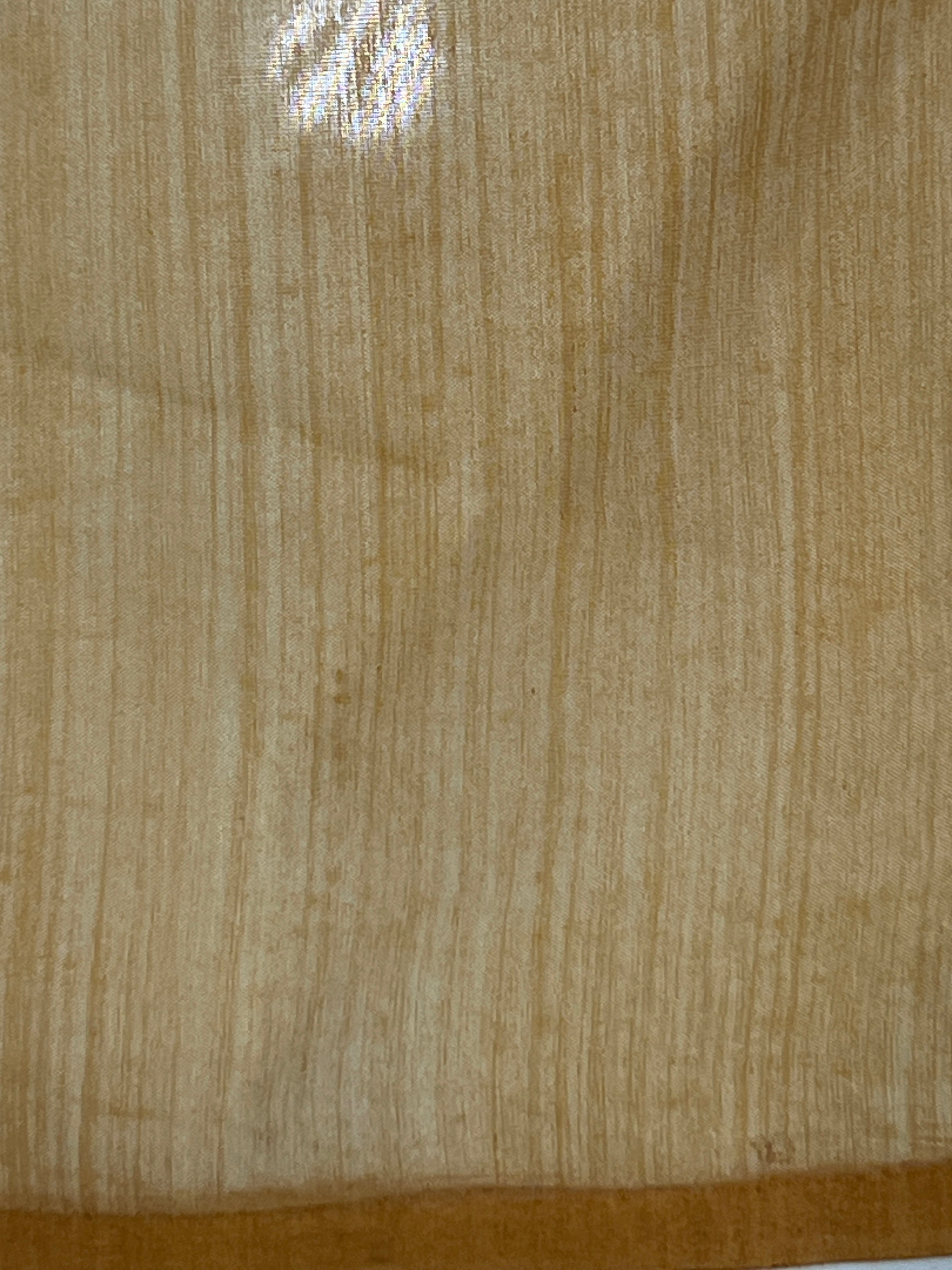 Print With Embroidery Detailed Kota Saree | YNG929