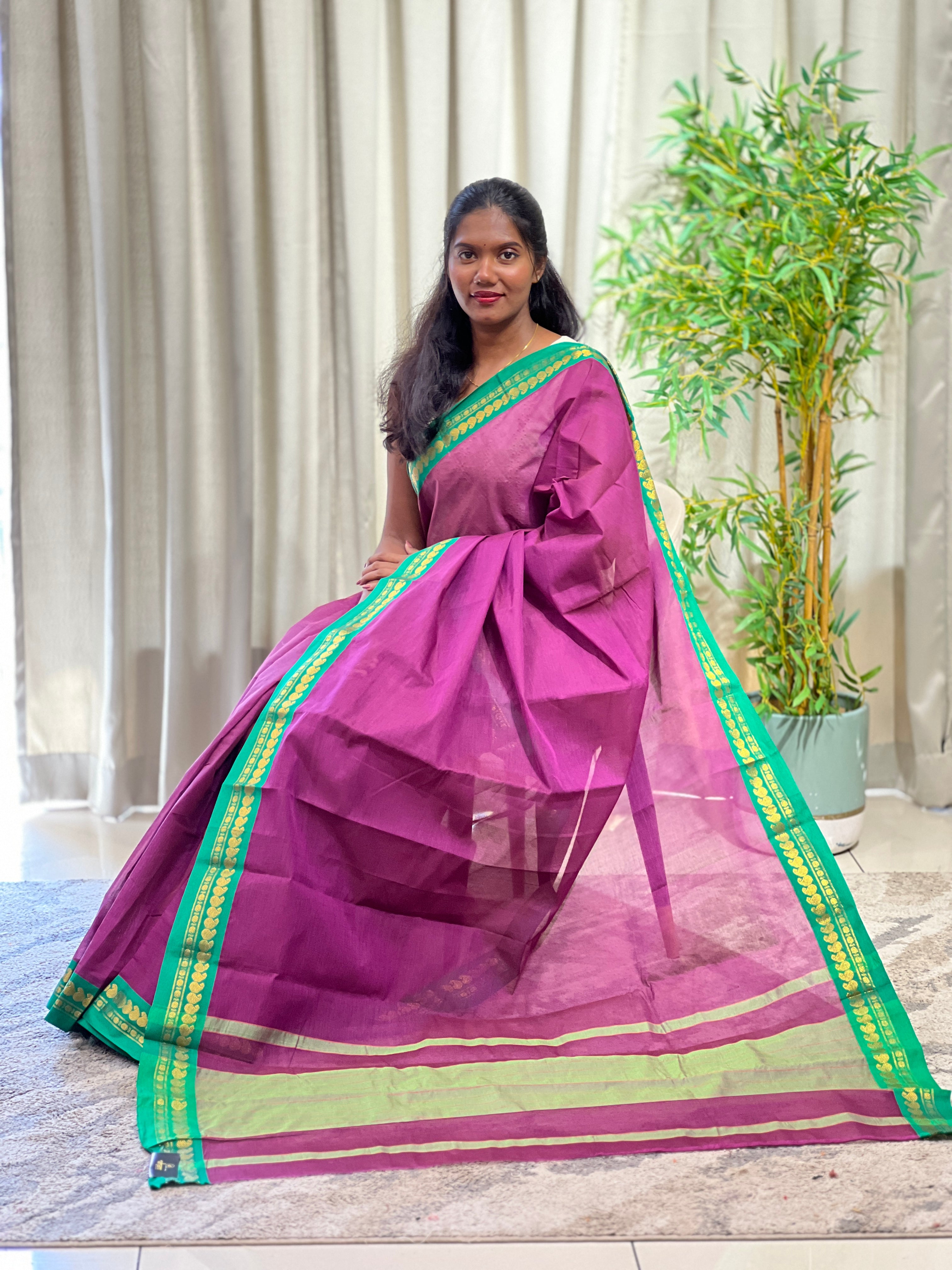Golden Zari Bordered Kanchi Cotton Saree | GAS133