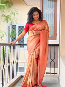 Banarasi Weaved Georgette Saree | AGS104