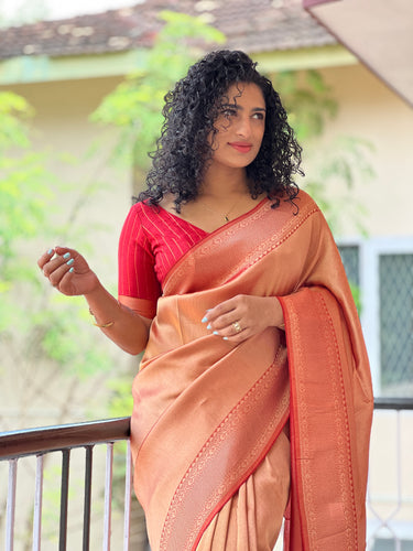 Banarasi Weaved Georgette Saree | AGS104
