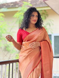Banarasi Weaved Georgette Saree | AGS104