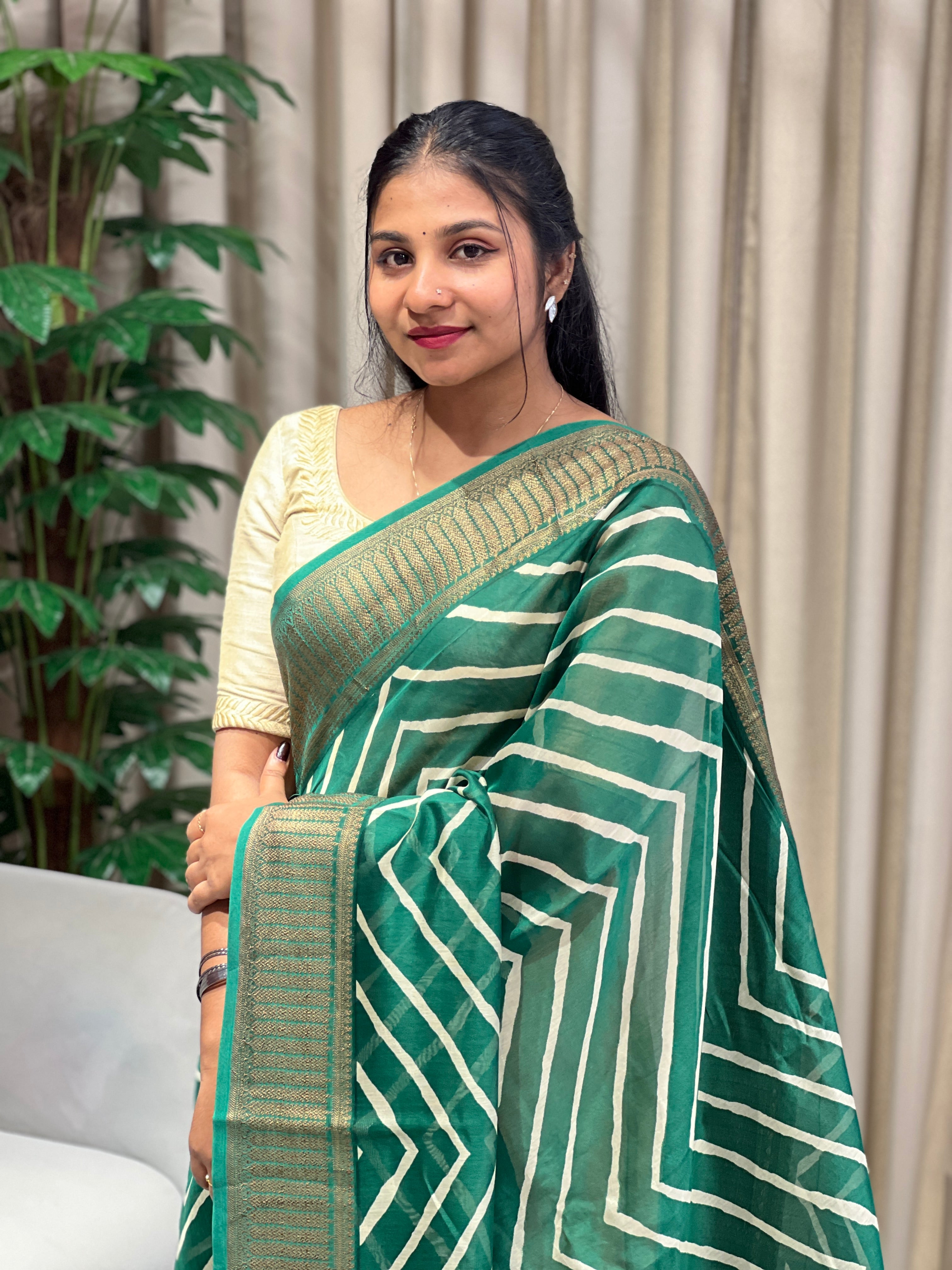 Zigzag Print With Banarasi Border Detailed Chanderi Saree | RGD789