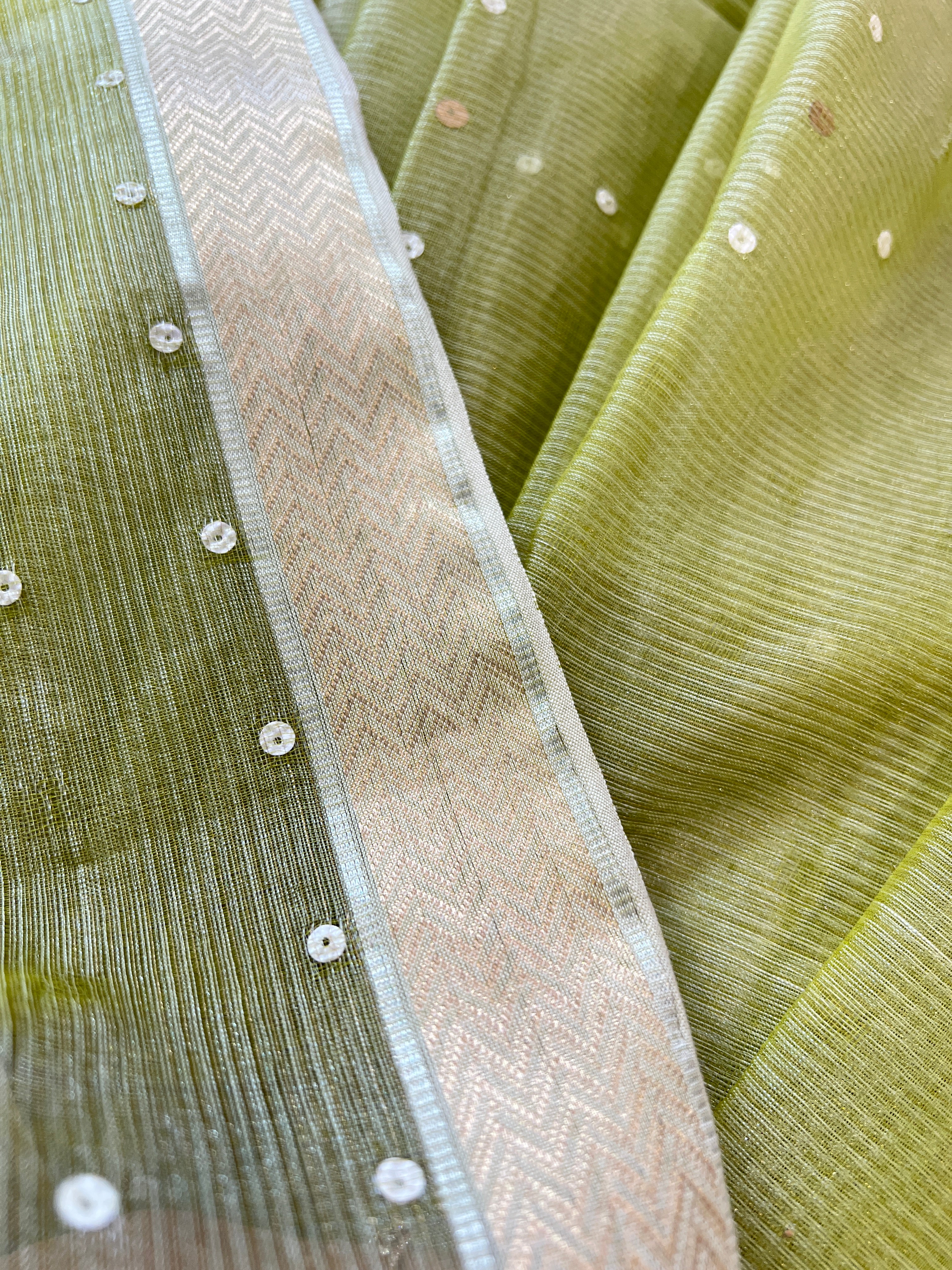 Hand Woven Tissue Organza Saree | RGD289