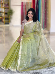 Hand Woven Tissue Organza Saree | RGD289