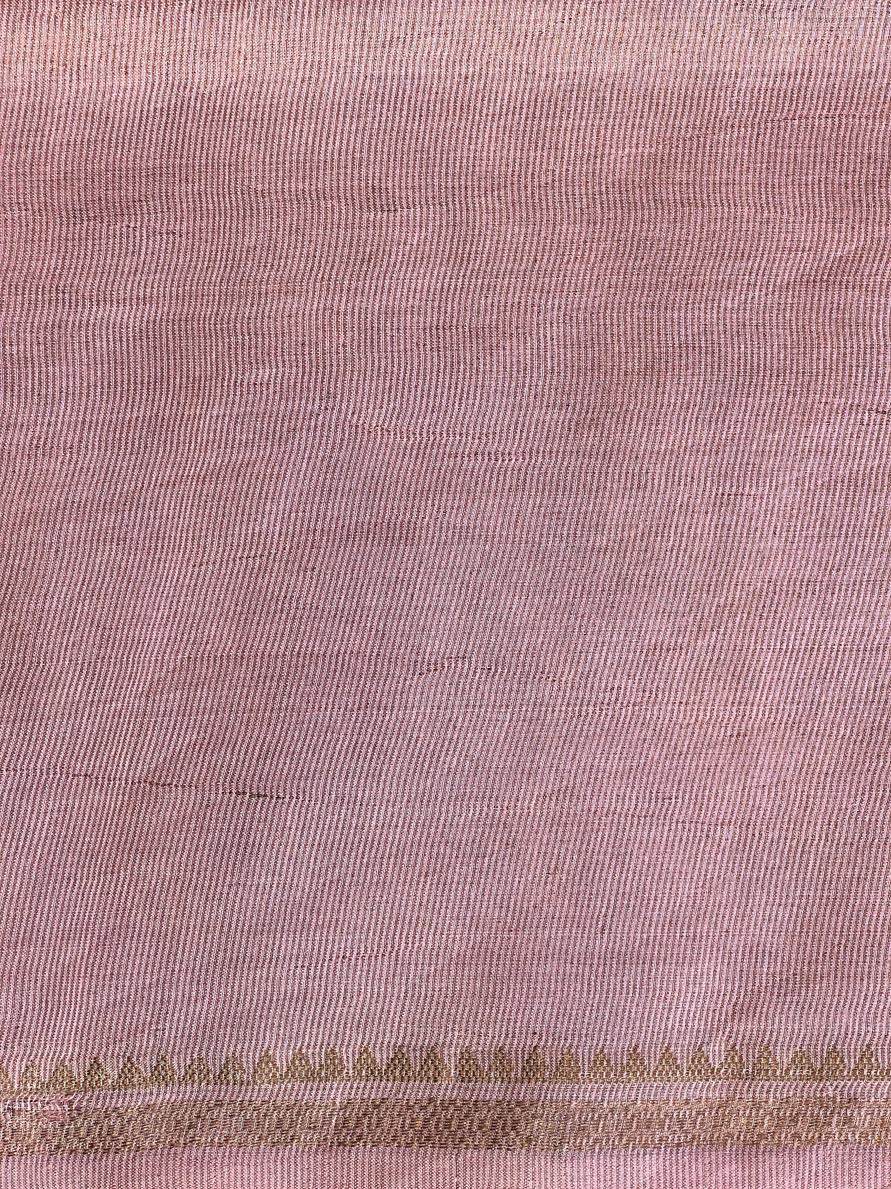 Print With Zari Detailed Tussar Organza Saree | RGD762