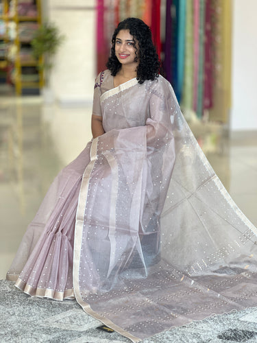 Hand Woven Tissue Organza Saree | RGD287