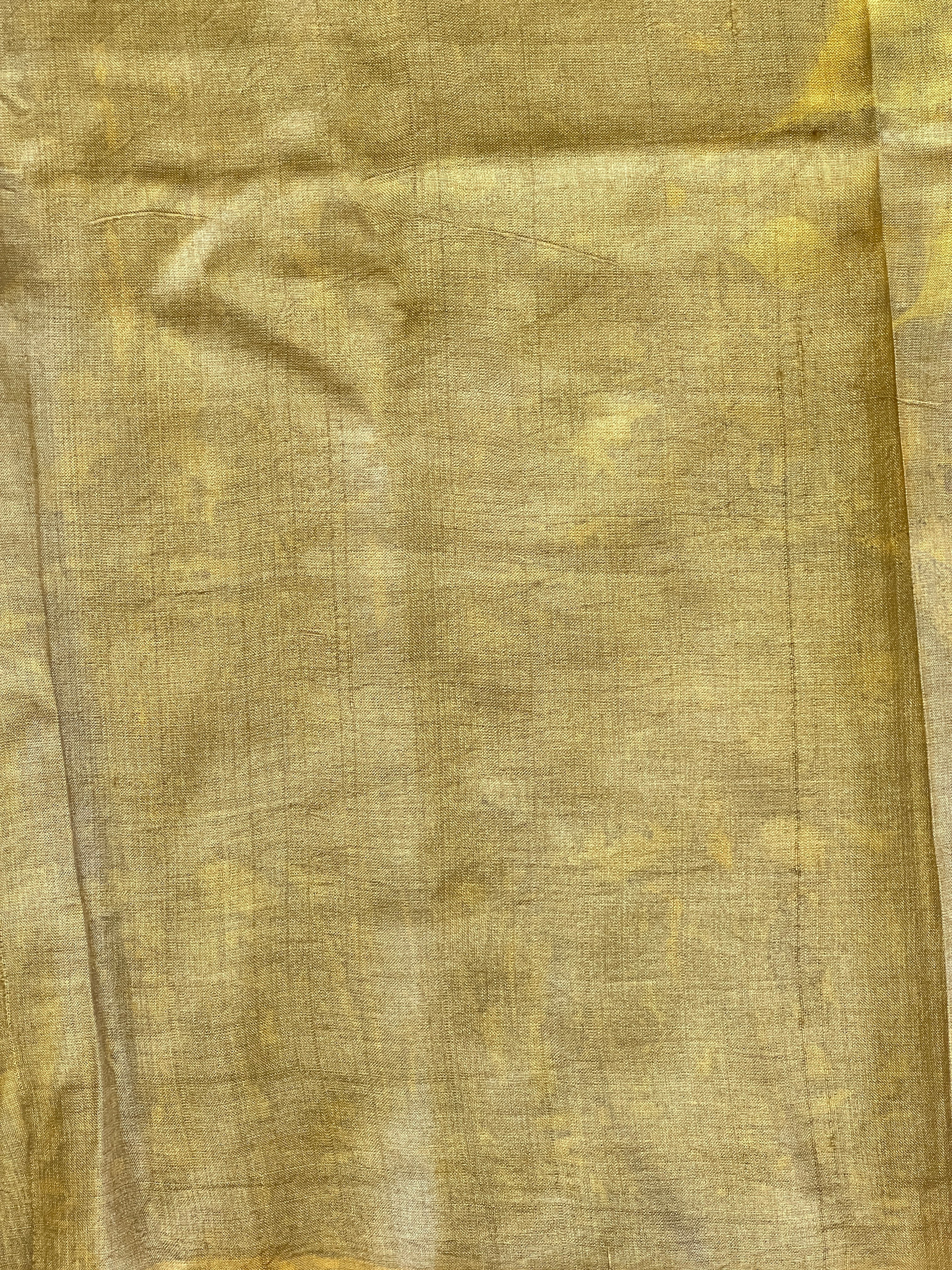 Leaf Printed Pure Tussar Saree | RGD764