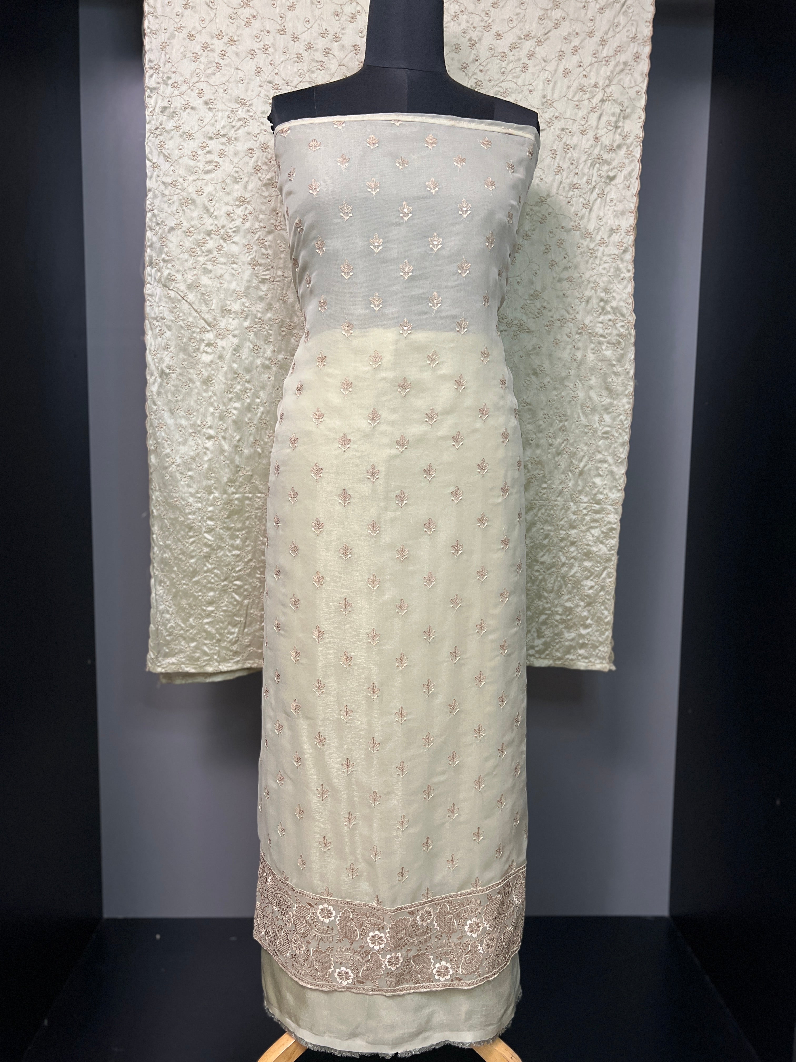 Embroidery Detailed Viscose Organza Salwar Set | SBP617
