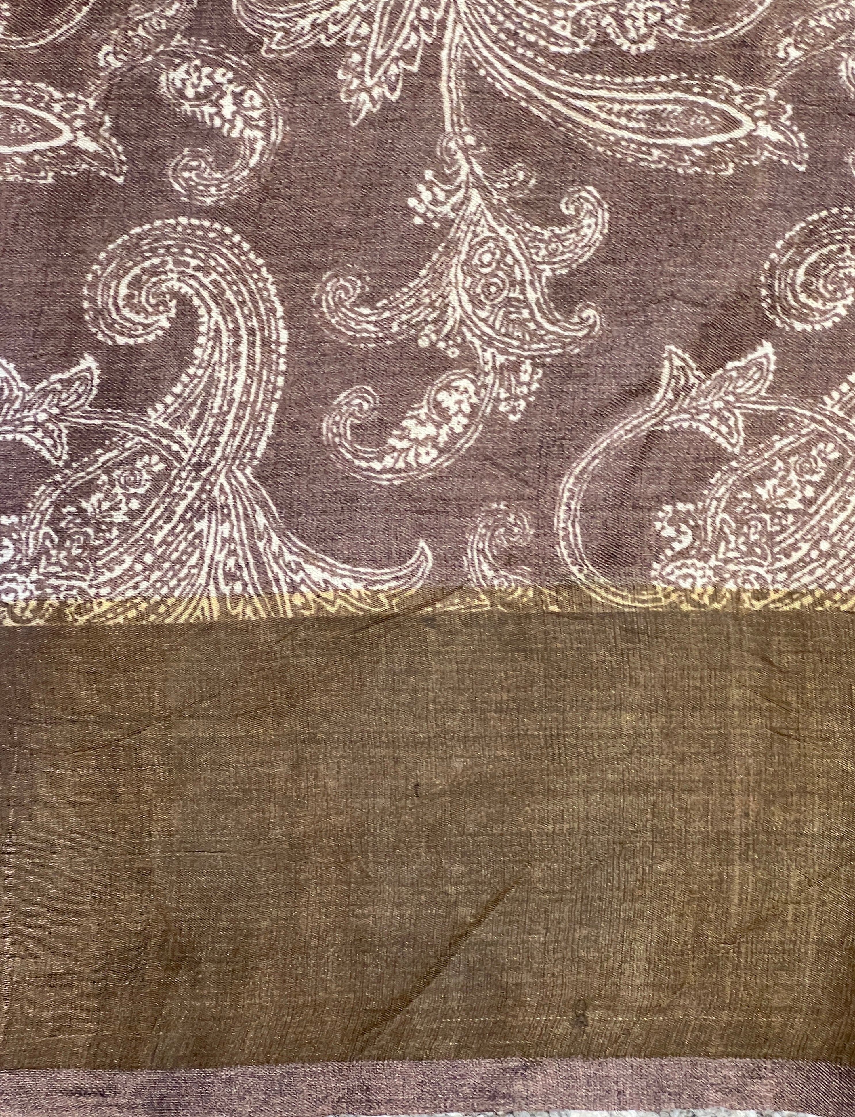 Jaal Patterned Pure Tussar Saree | RGD771