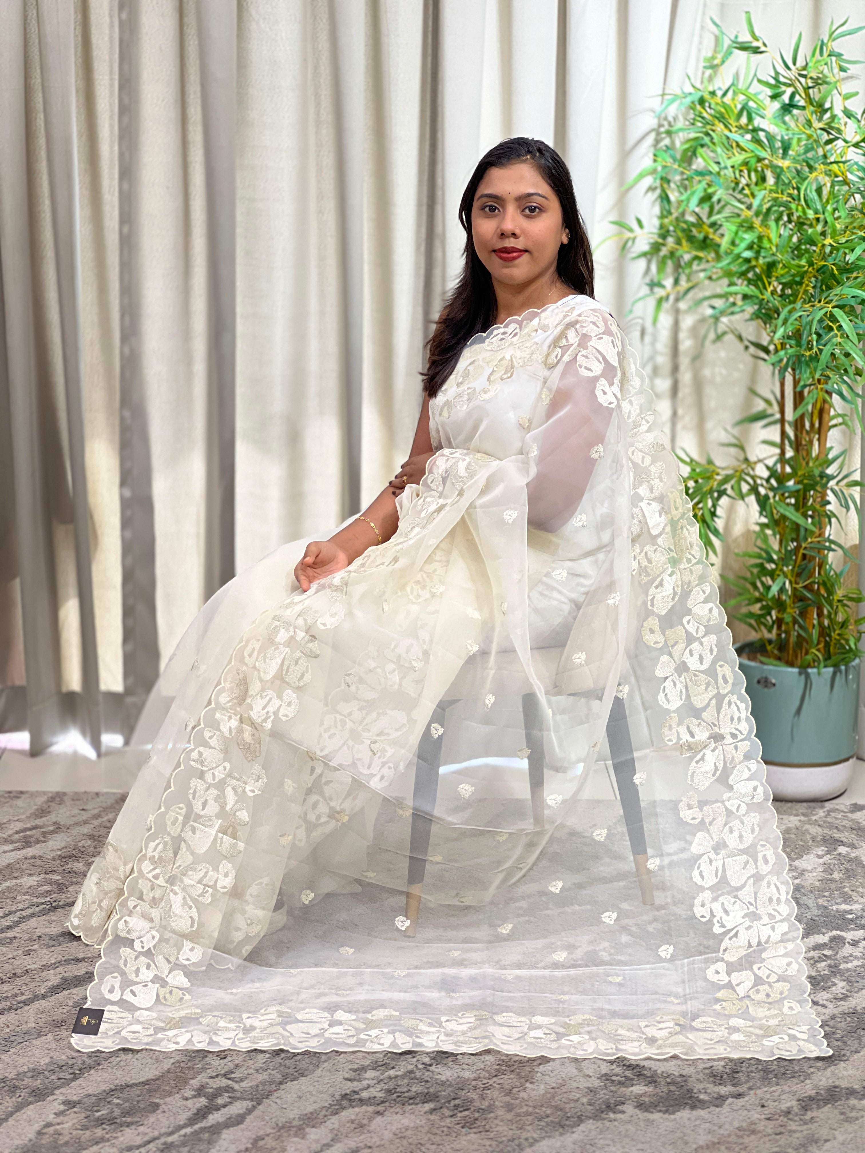 Shaded Embroidered Viscose Organza Saree | ZSS165