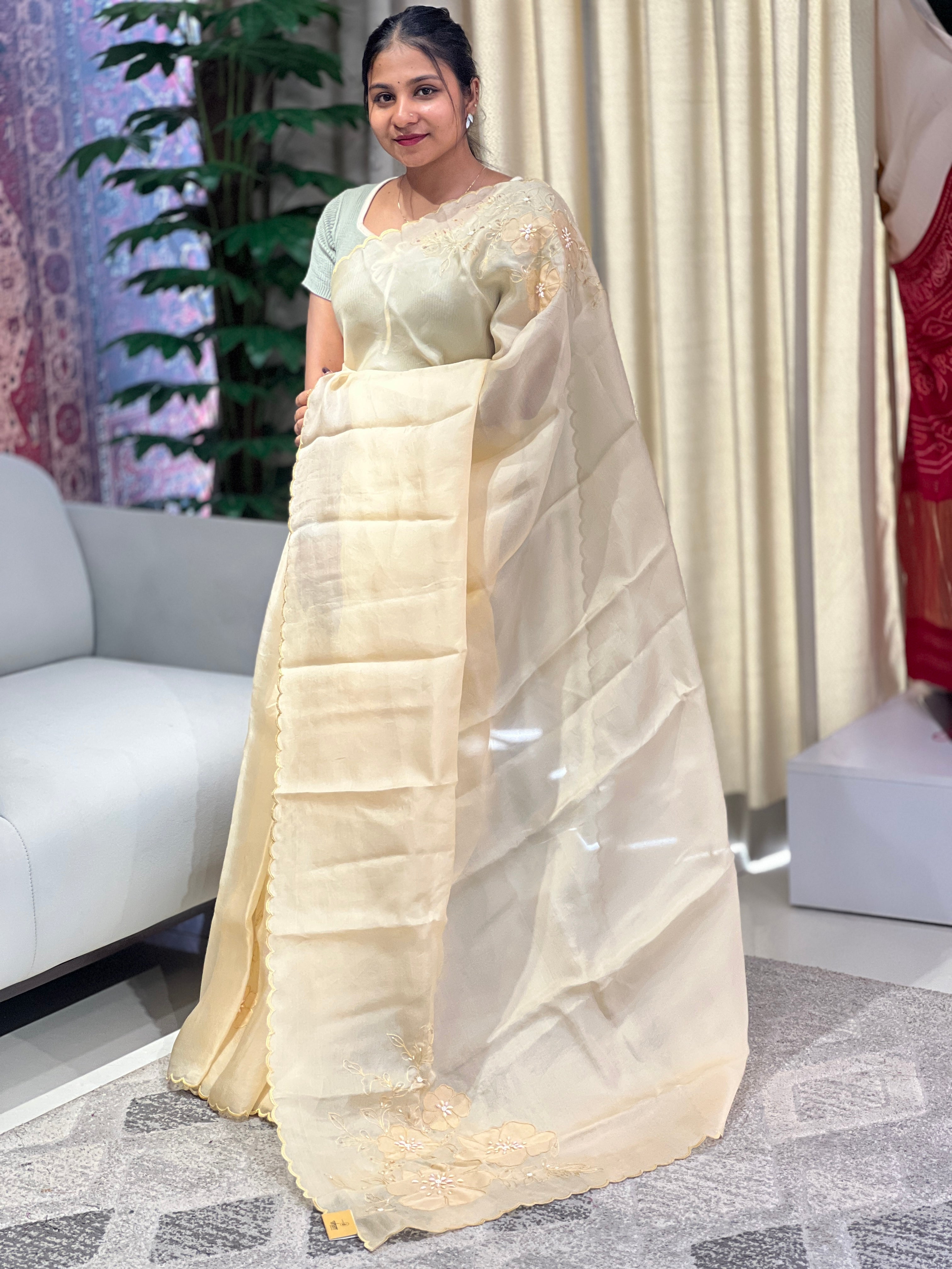 Floral Applique Detailed Pure Organza Saree | DNT1005