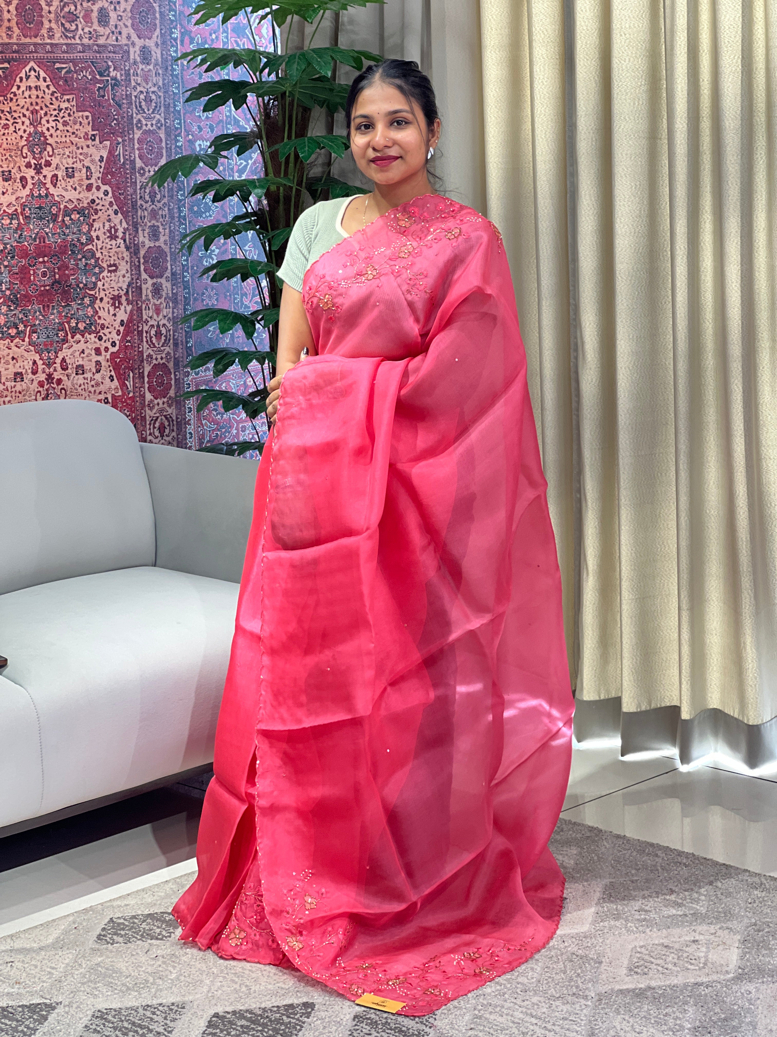 Hand Work Detailed Pure Organza Saree | DNT1004