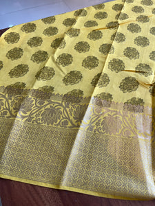 Kalamkari Inspired Print Pure Organza Saree | NO123