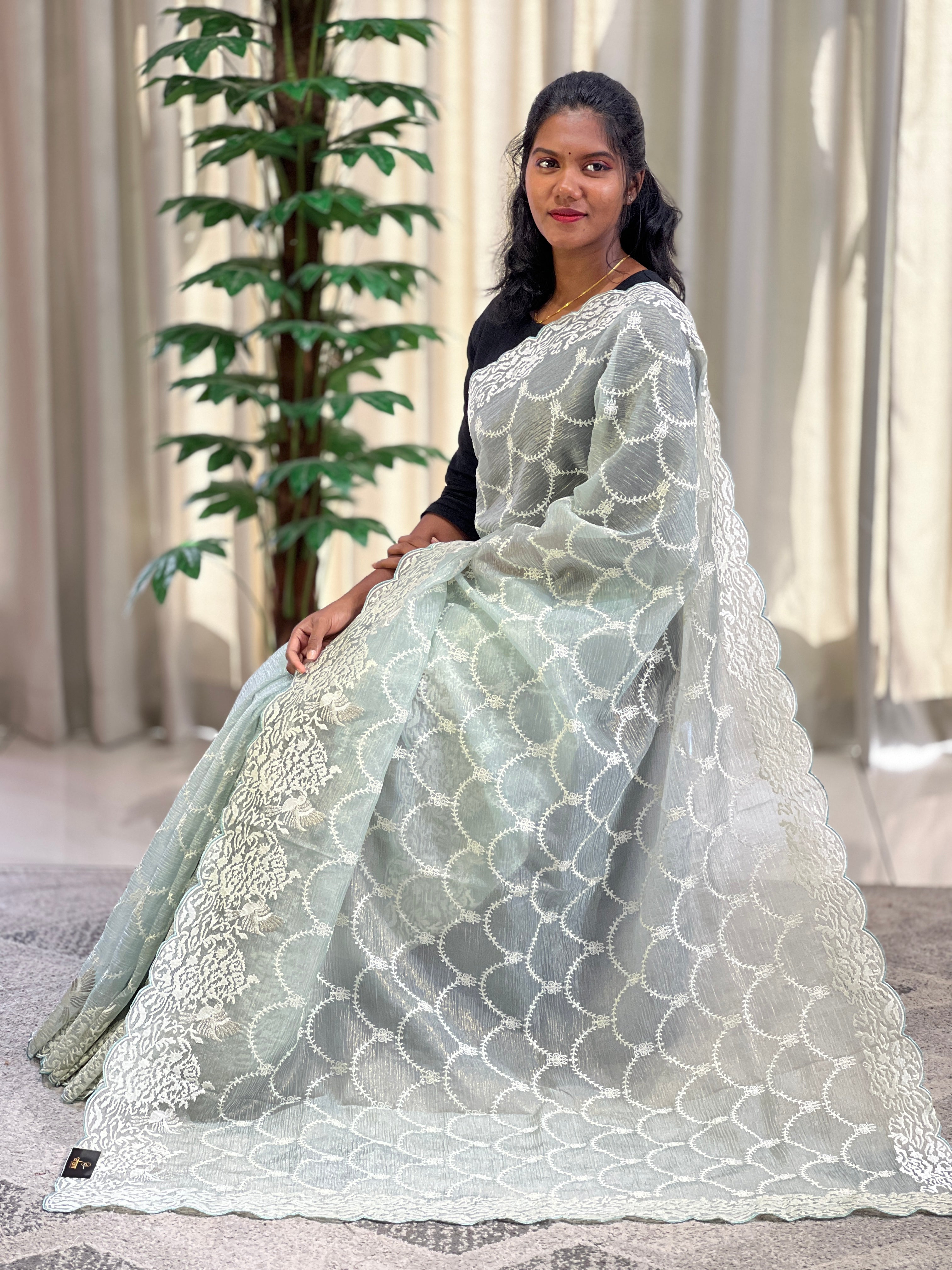 Machine Embroidery Crushed Shimmer Organza Saree | BLD1476