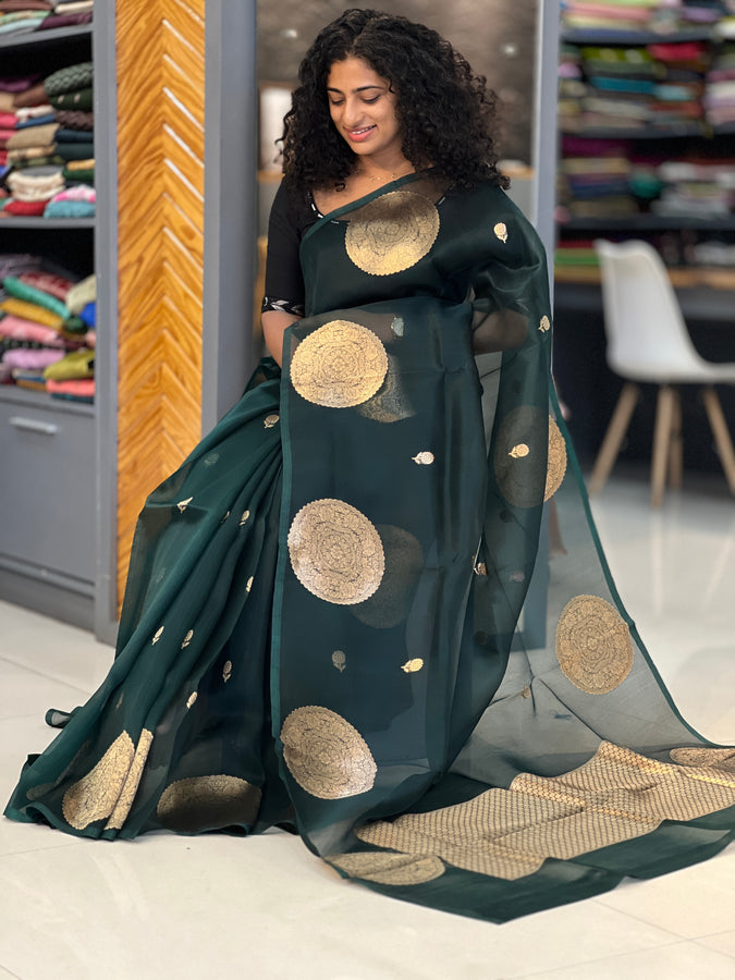 Banarasi Floral Design Organza Saree | NO125