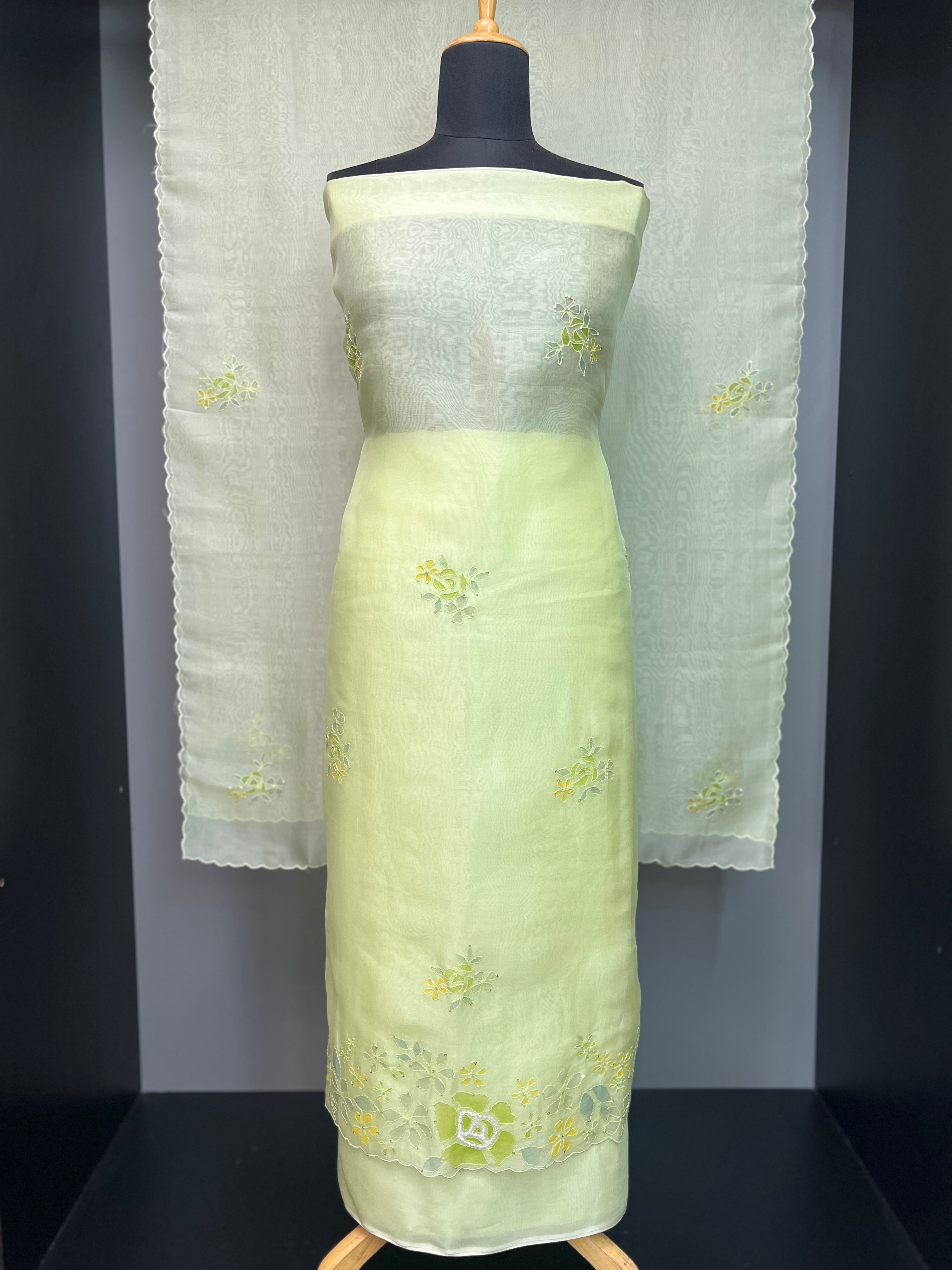 Hand Painted With Embroidered Highlight Pure Organza Salwar Set | SBS1293