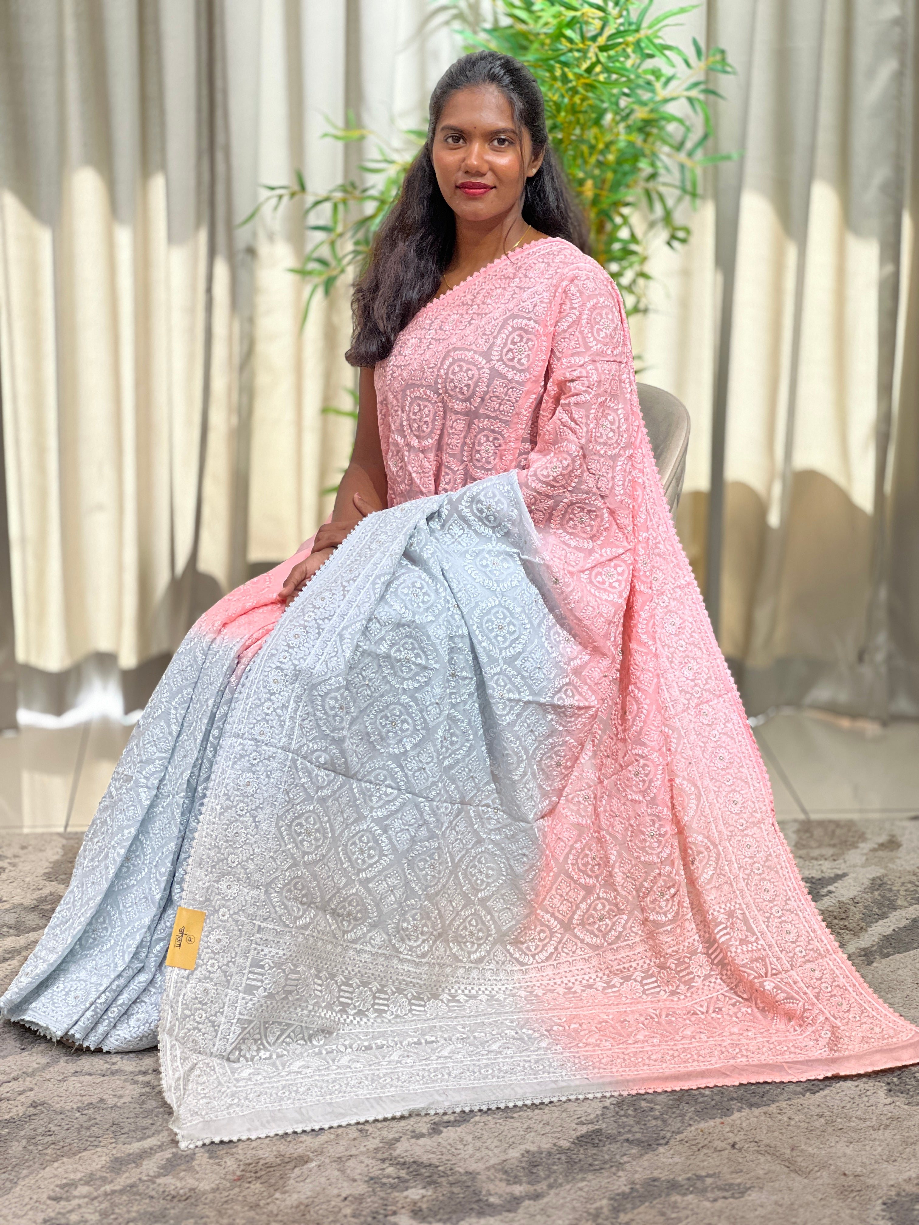 Lucknowi Embroidered Organza Saree | MM623