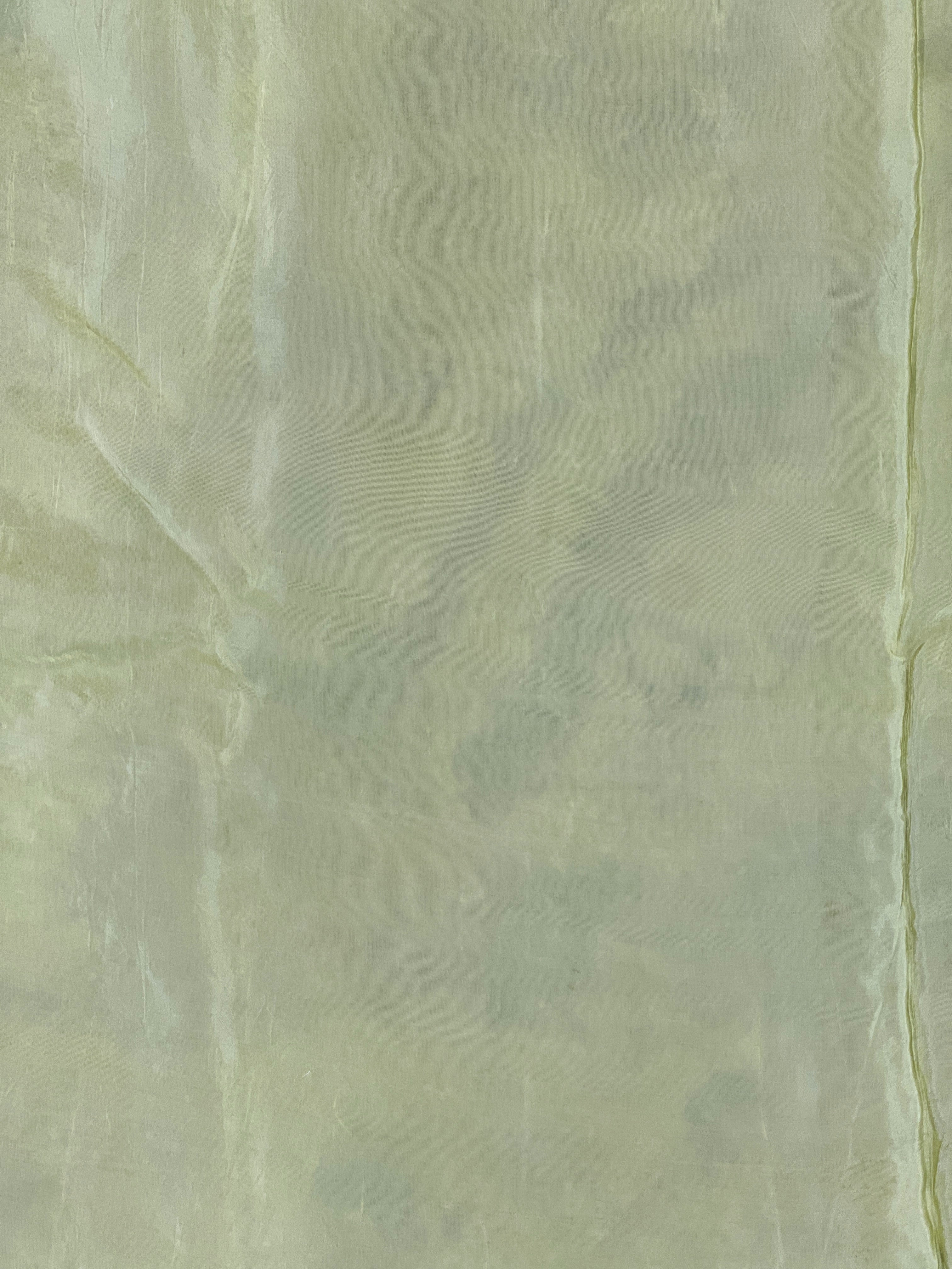 Lucknowi Embroidered Organza Saree | MM605