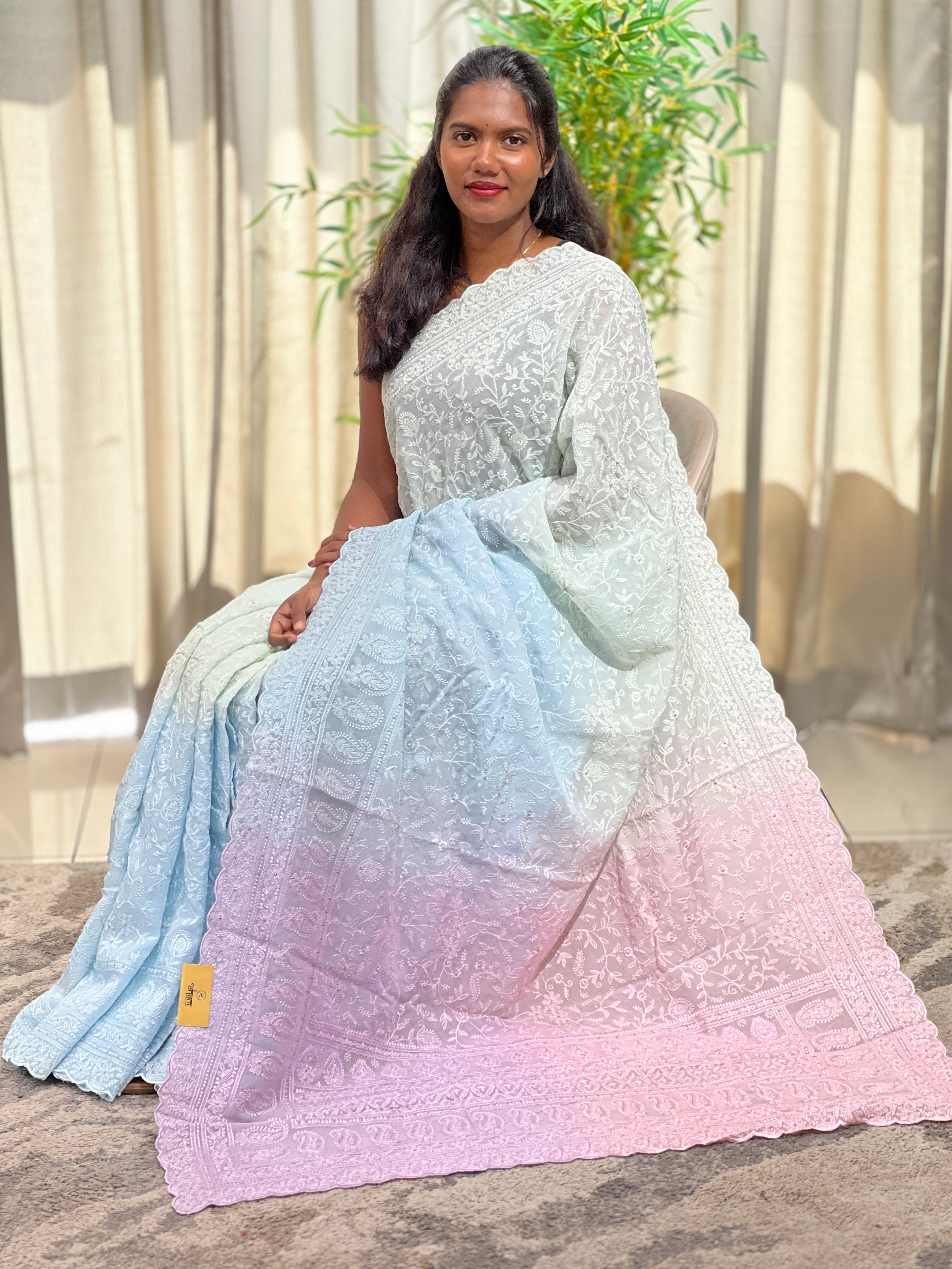 Lucknowi Embroidered Organza Saree | MM604