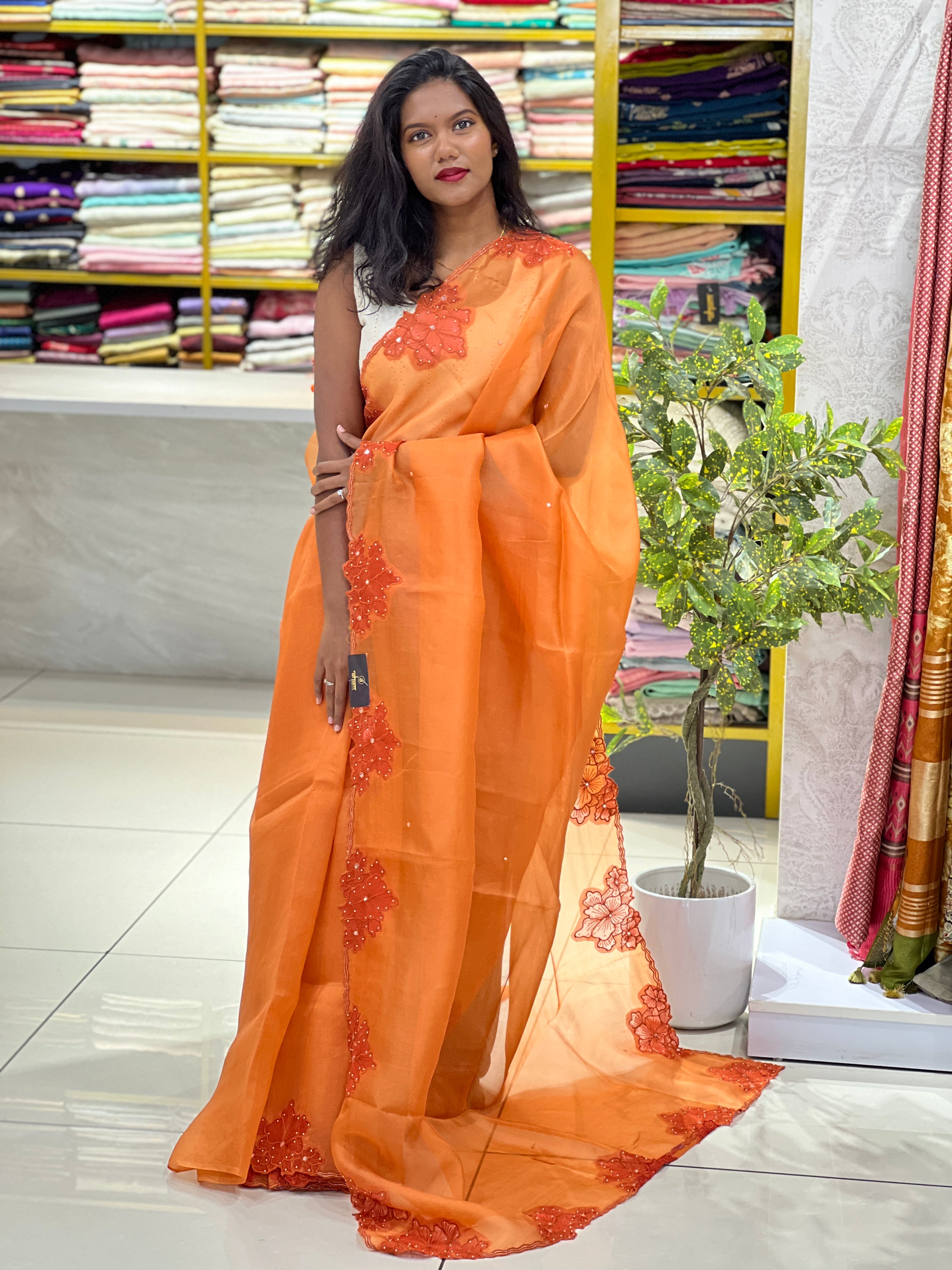 Floral Applique Work Detailed Pure Organza Saree | SBS1353